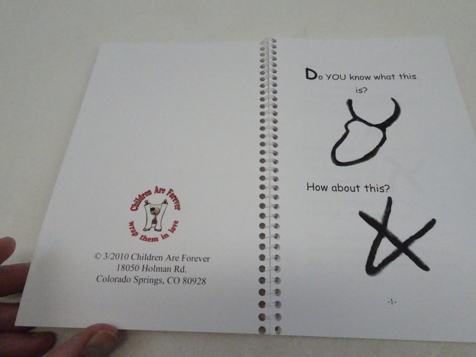 Hebrew Letters & How They Grew The Alef Bet PB Book A J Cannon-Dalbey Children