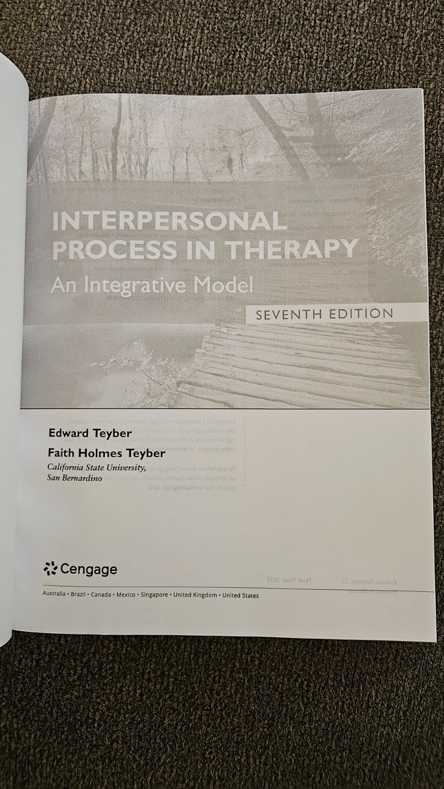 Interpersonal Process in Therapy 7th Edition: An Integrative Model by Teyber