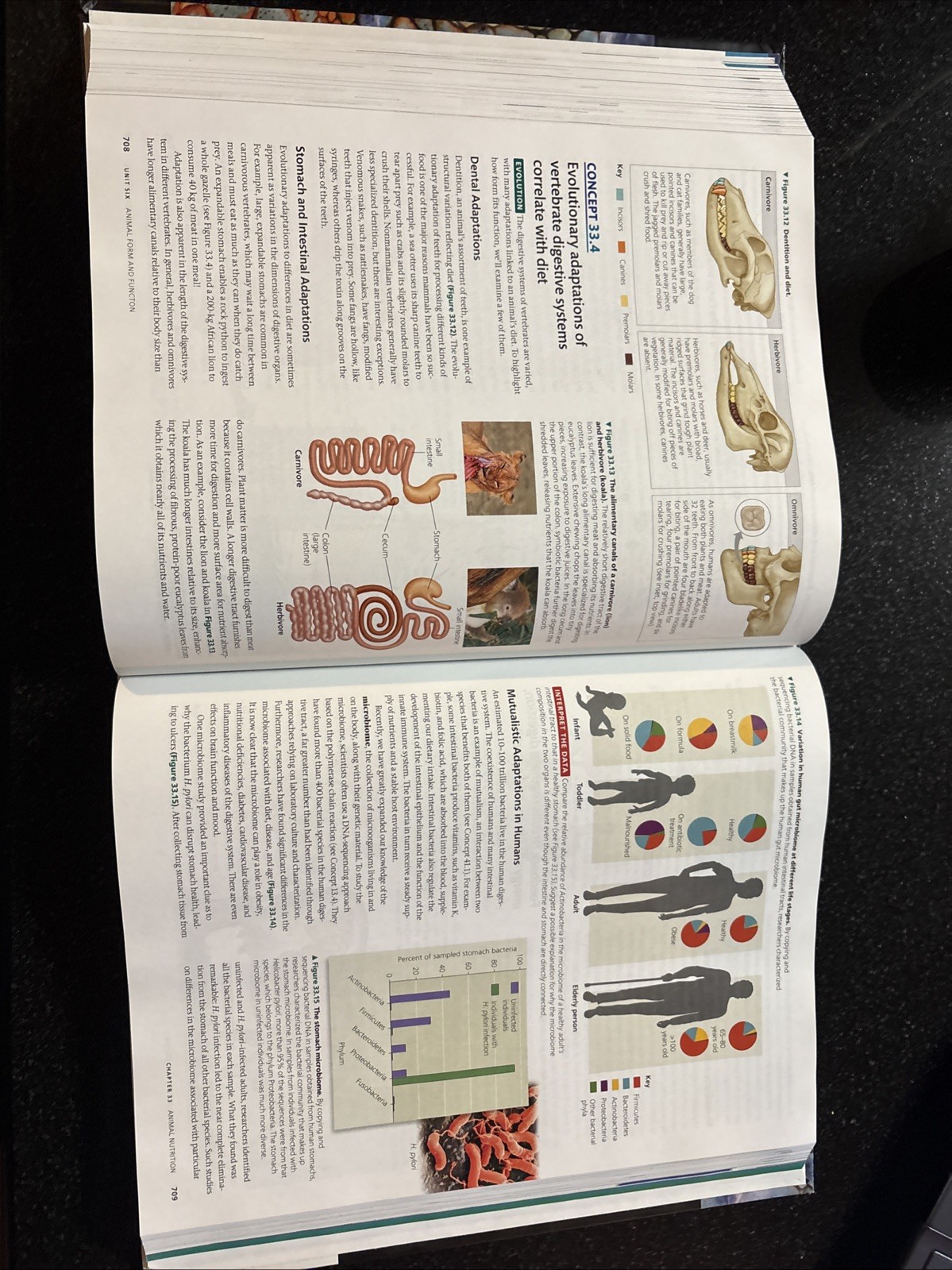 Campbell Biology in Focus by Lisa Urry, Steven Wasserman, Michael Cain and Peter