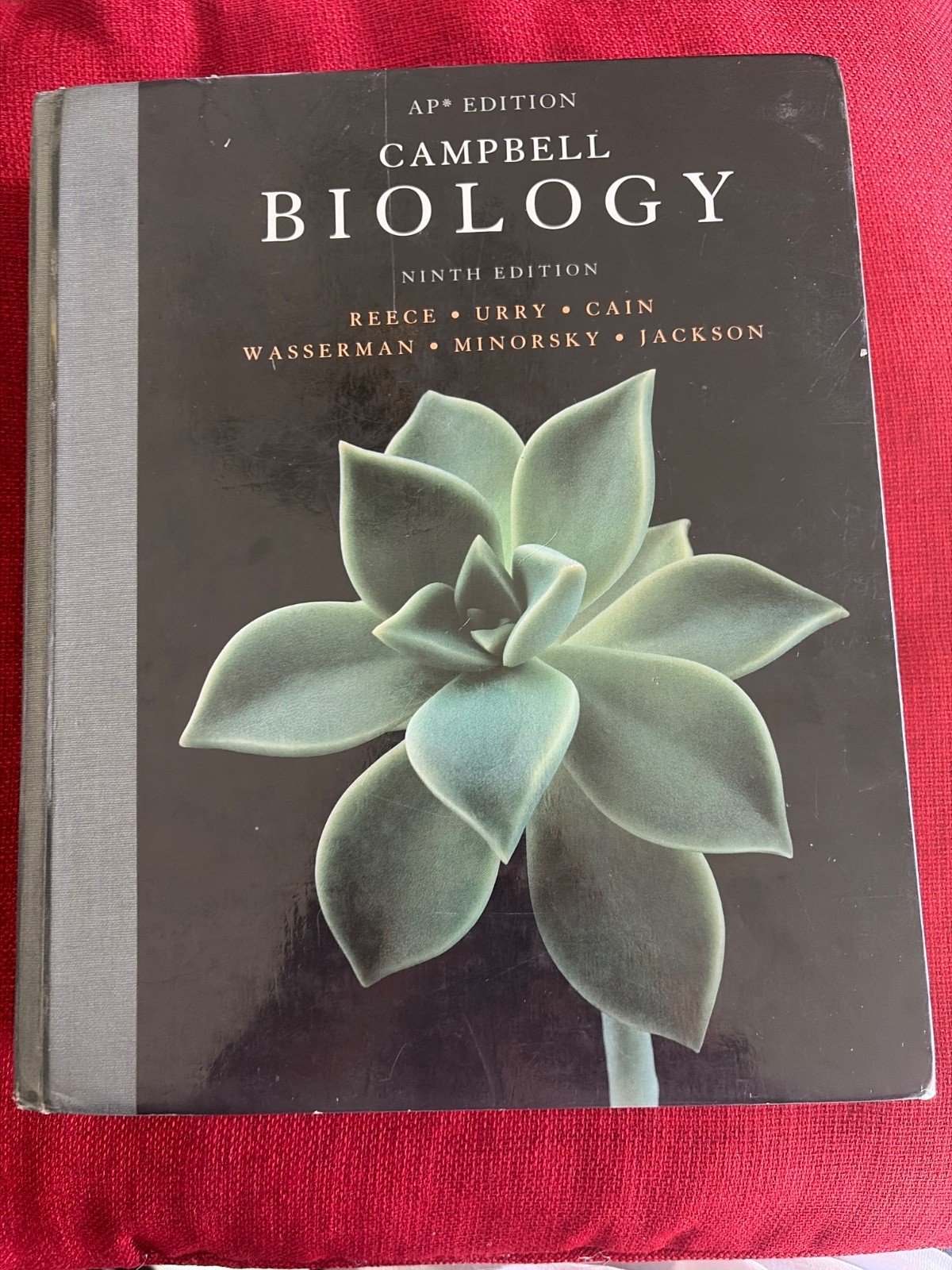 Campbell Biology by Peter V. Minorsky, Robert B. Jackson, Michael L. Cain, Lisa