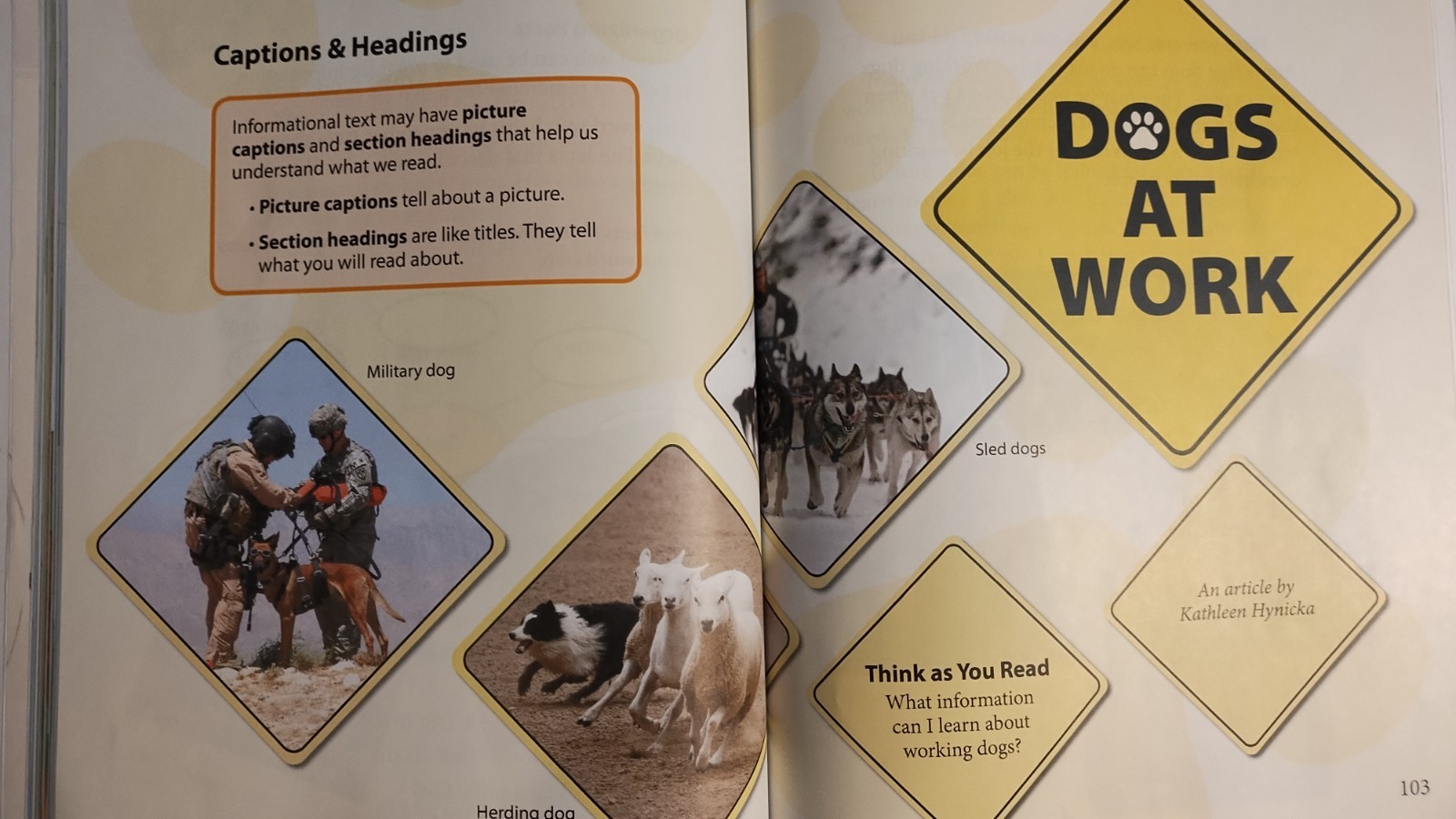 Bob Jones University Press Student Reading Books 2nd (Third Edition)