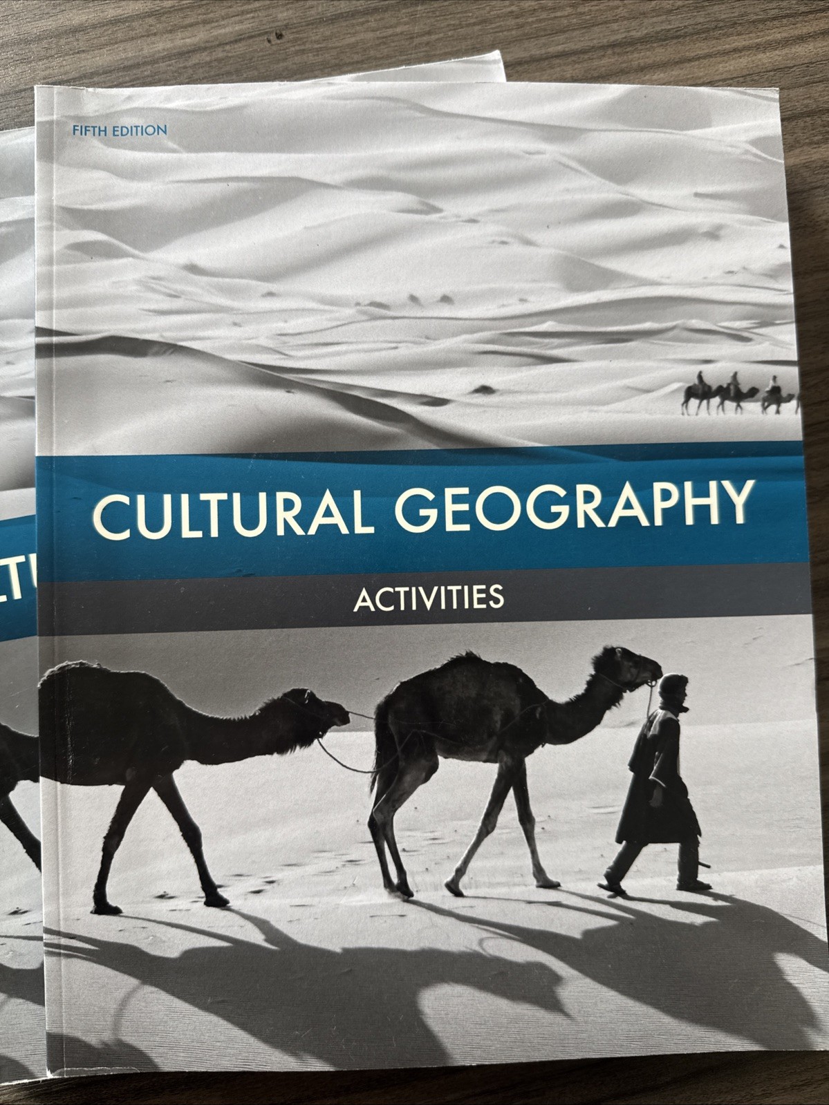 Cultural Geography Activities, Fifth Edition Book BJU