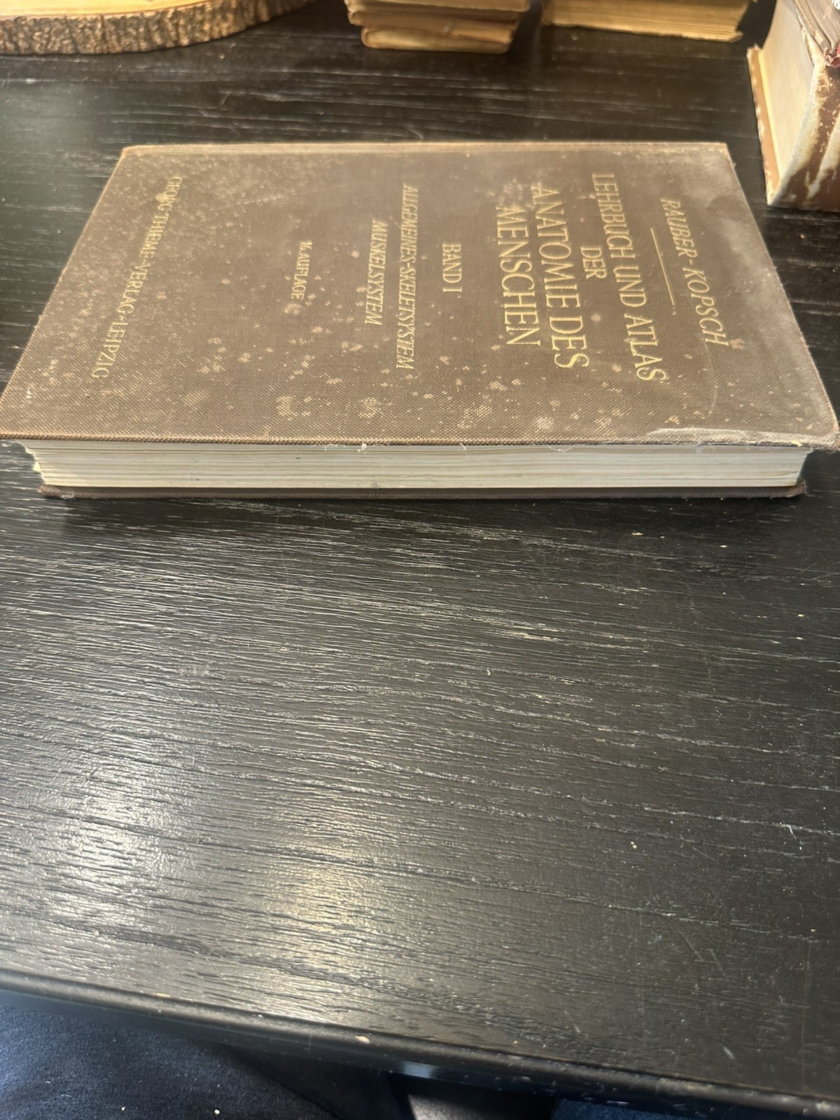 Atlas Of Human Anatomy 1952 Vol 1 In German Skeletal, Muscular General systems