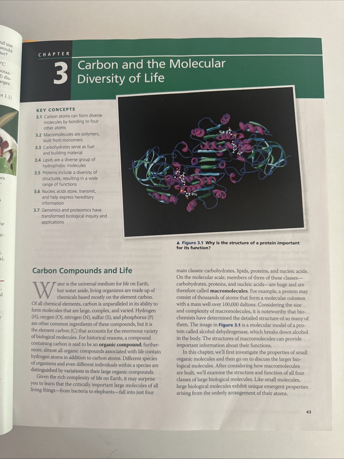 Campbell Biology in Focus by Peter V. Minorsky, Jane B. Reece, Michael L. Cain,
