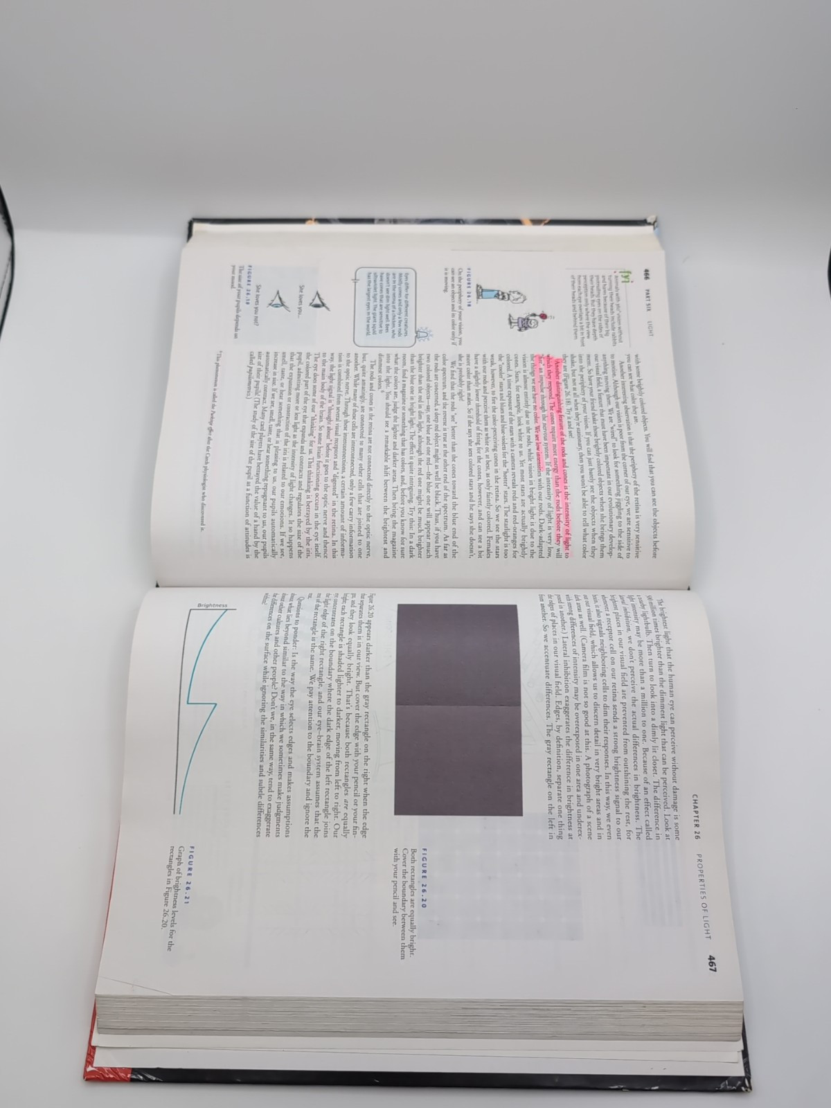 Conceptual Physics by Paul G. Hewitt (2011, Hardcover)