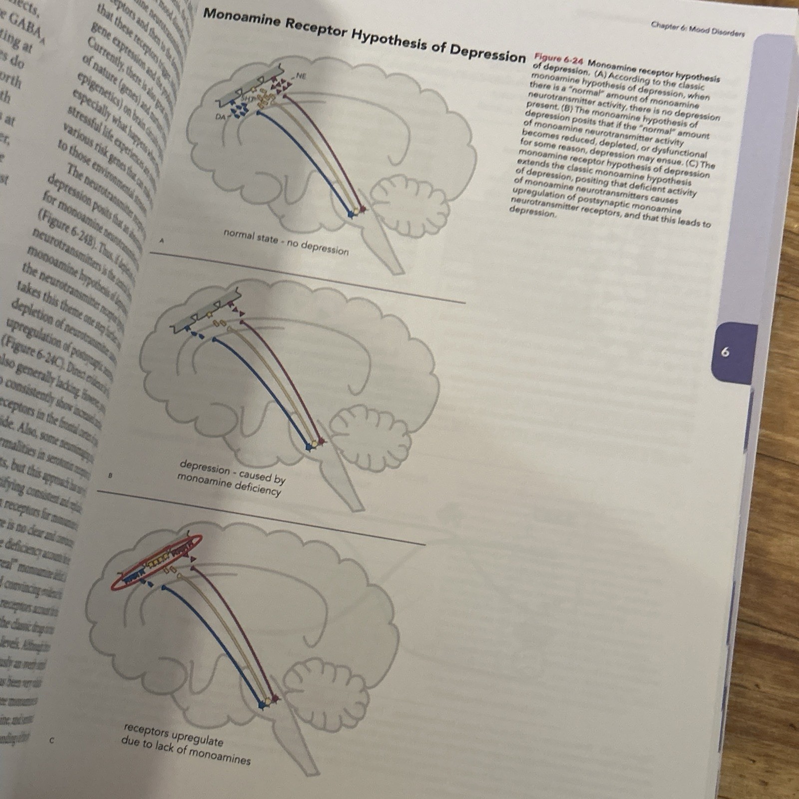 Stahl’s Essential Psychopharmacology Fifth Edition Stephen M. Stahl Psychiatry