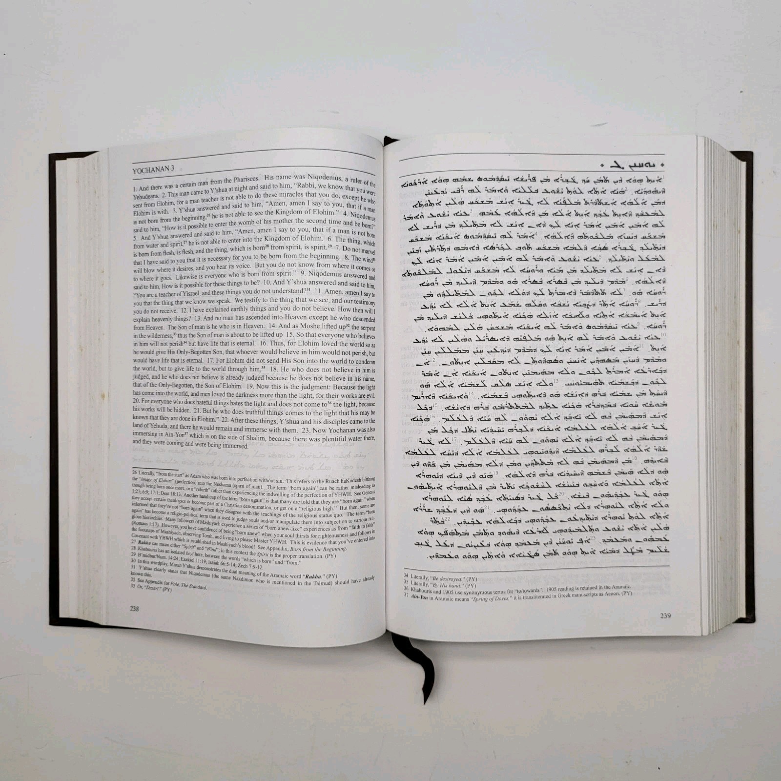 Aramaic English New Testament Netzari Press RARE Discontinued Edition