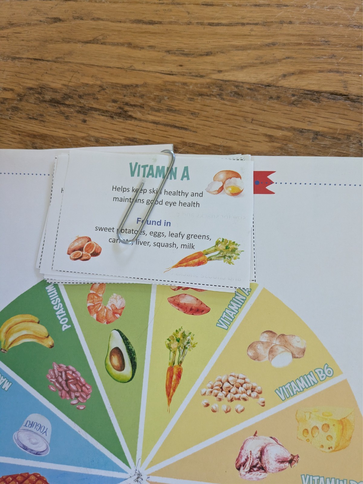 The Good & The Beautiful Health & The Physical Body 3-8 Science Unit Study TGTB