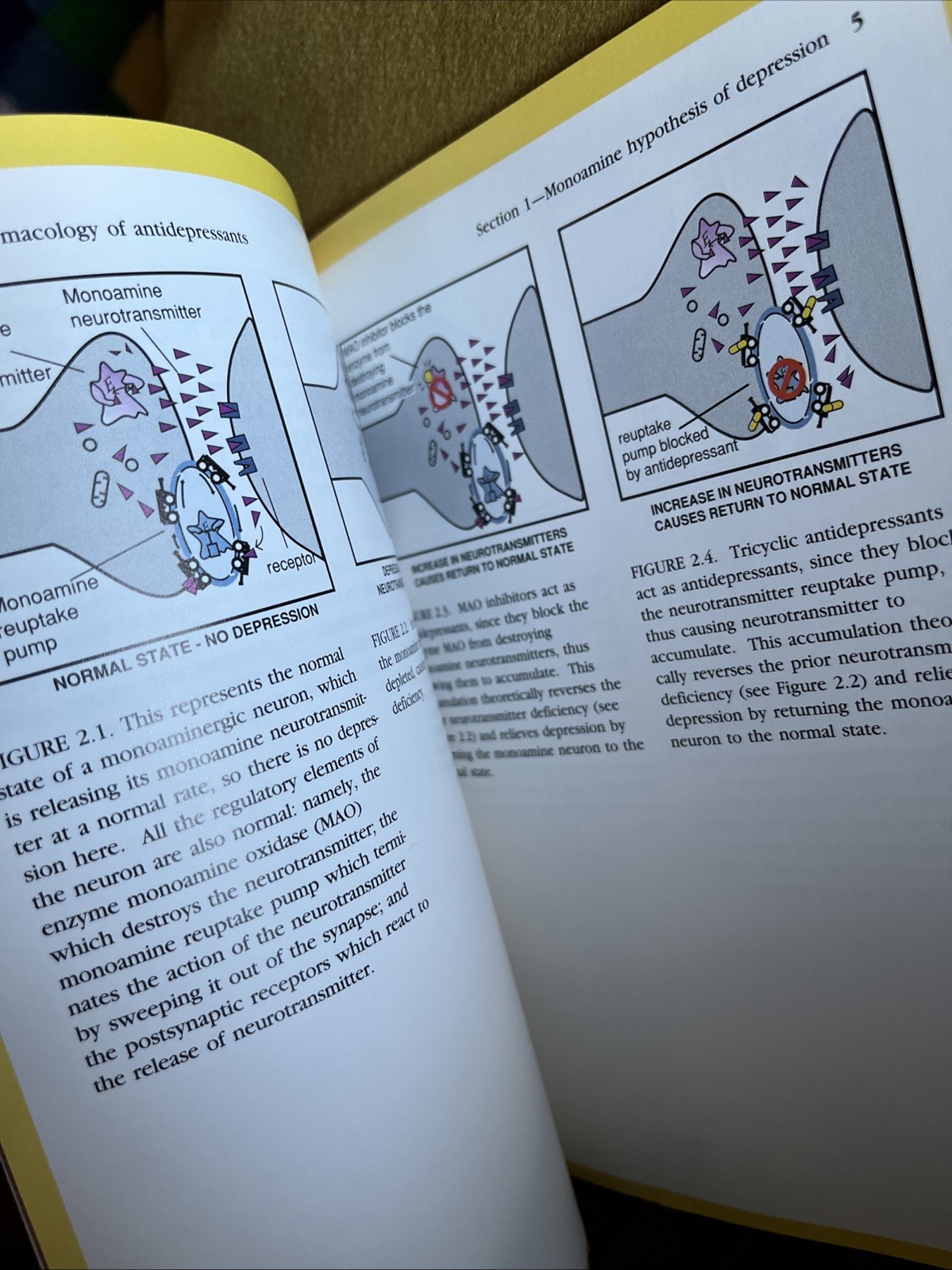Psychopharmacology Of Antidepressants By Stephen M. Stahl & Martin Dunitz