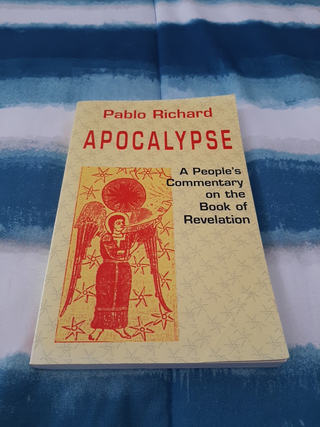 Bible and Liberation Ser.: Apocalypse : A People’s Commentary on the Book of…