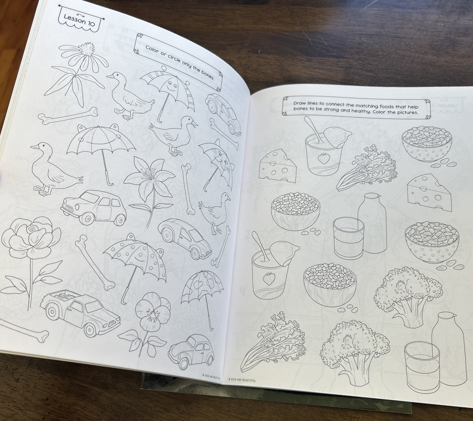 The Good and Beautiful Grades K-2 Science Activity Book Arthropods And Health