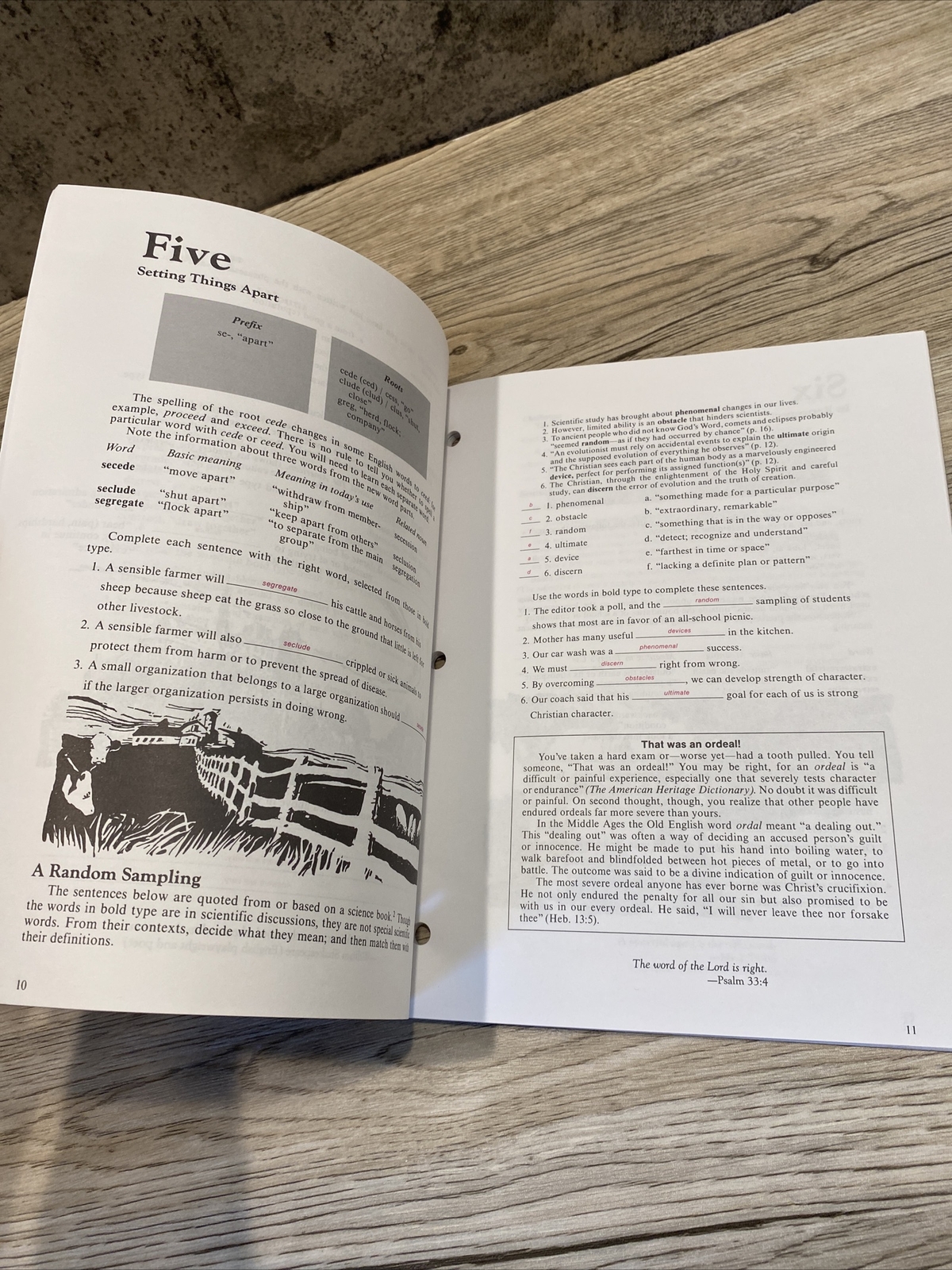 Bob Jones university press level C vocabulary for Christian schools teachers edi