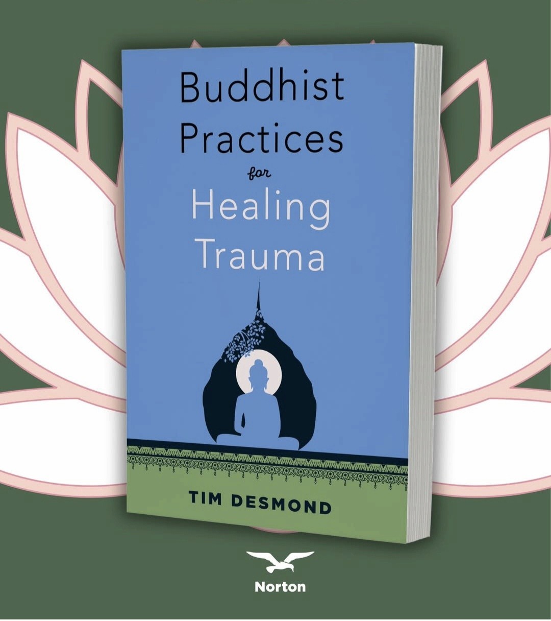 BUDDHIST PRACTICES FOR HEALING TRAUMA by Tim Desmond New Paperback 6/16/2026