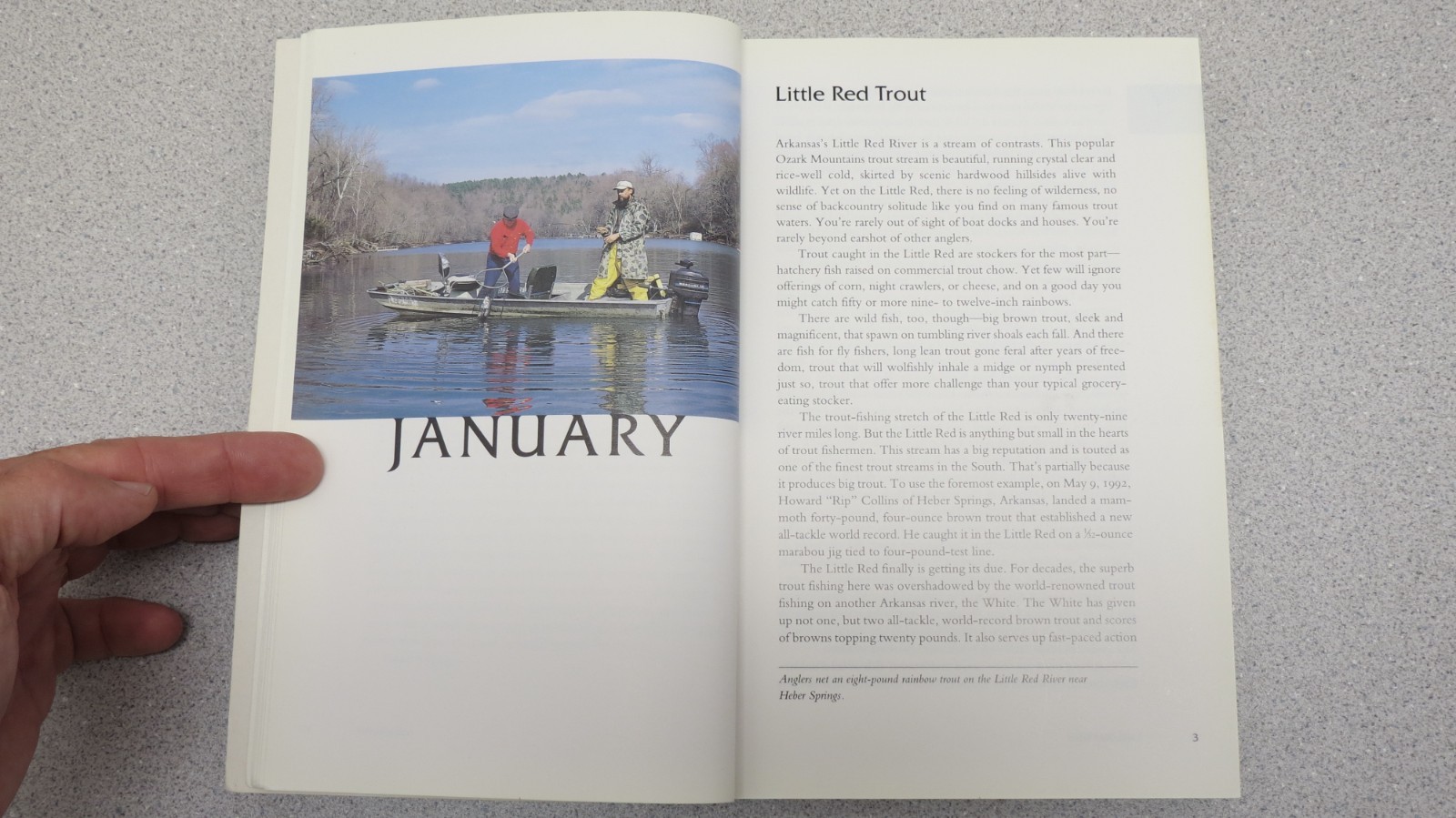 Fishing Arkansas : A Year-Round Guide to Angling Adventures Natural State Sutton