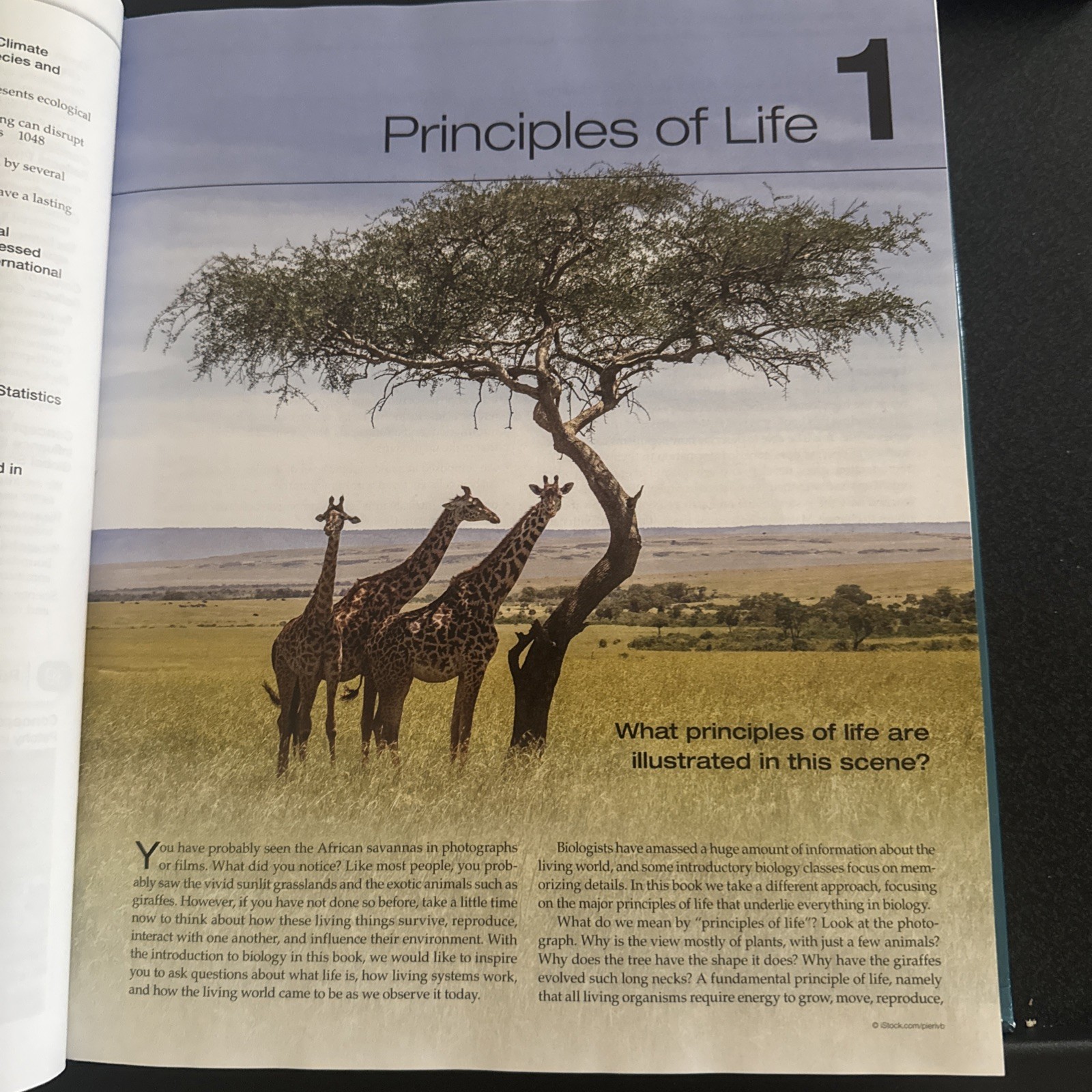 Principles of Life by Dave Hall, Richard W. Hill, Mary V. Price, Marta Laskowski