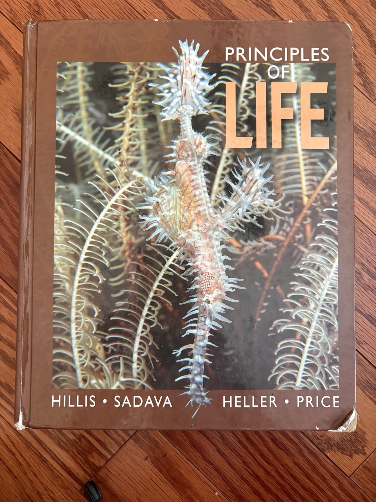 Principles of Life by Price, Sadava, Hillis and Heller (2012, Hardcover)