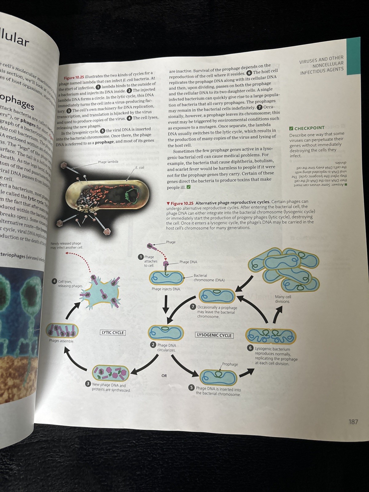 Campbell Essential Biology with Physiology 6th Edition by Simon, Dickey, Reece