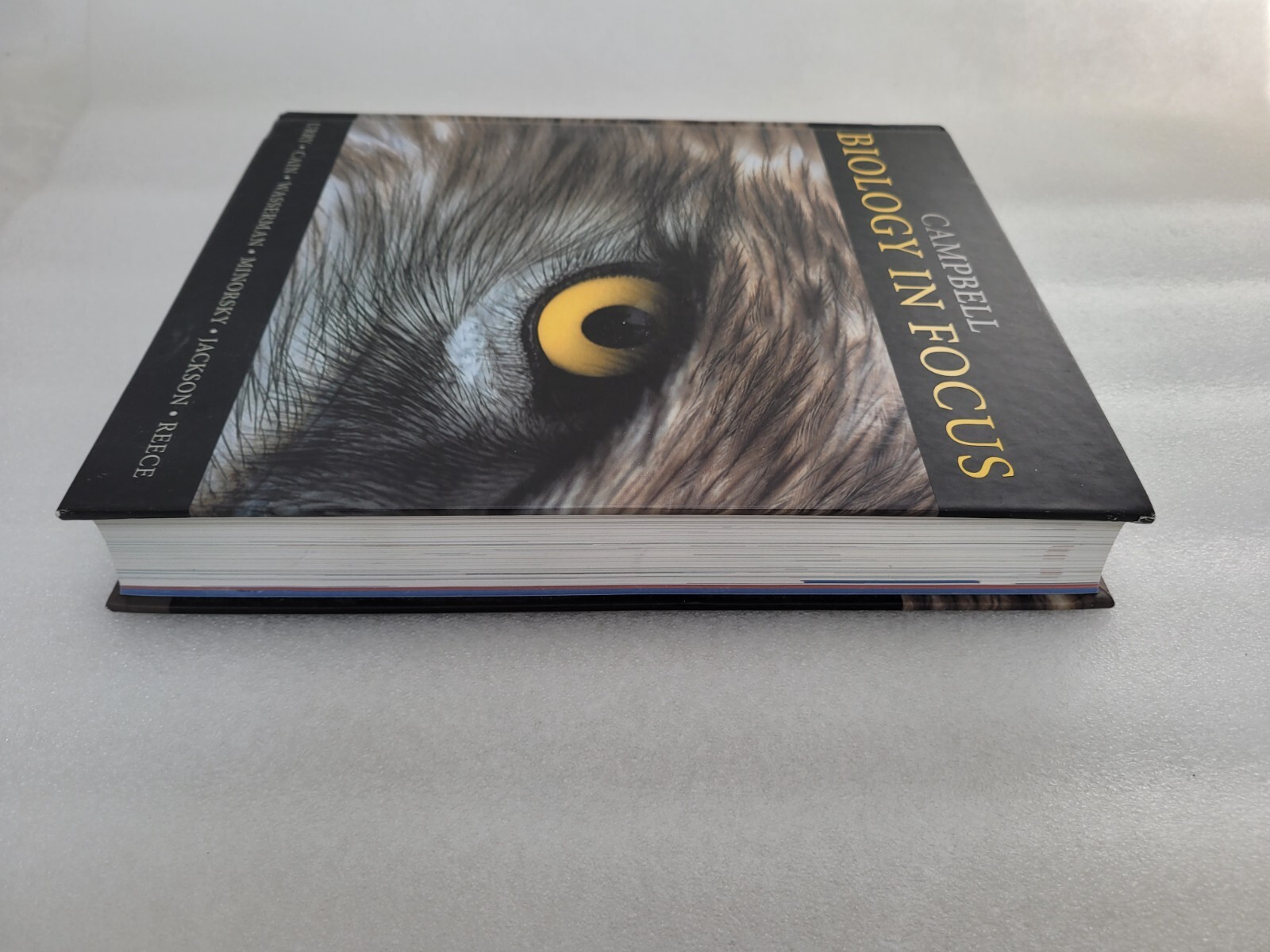 Campbell Biology in Focus by Peter V. Minorsky – Hardcover 2013