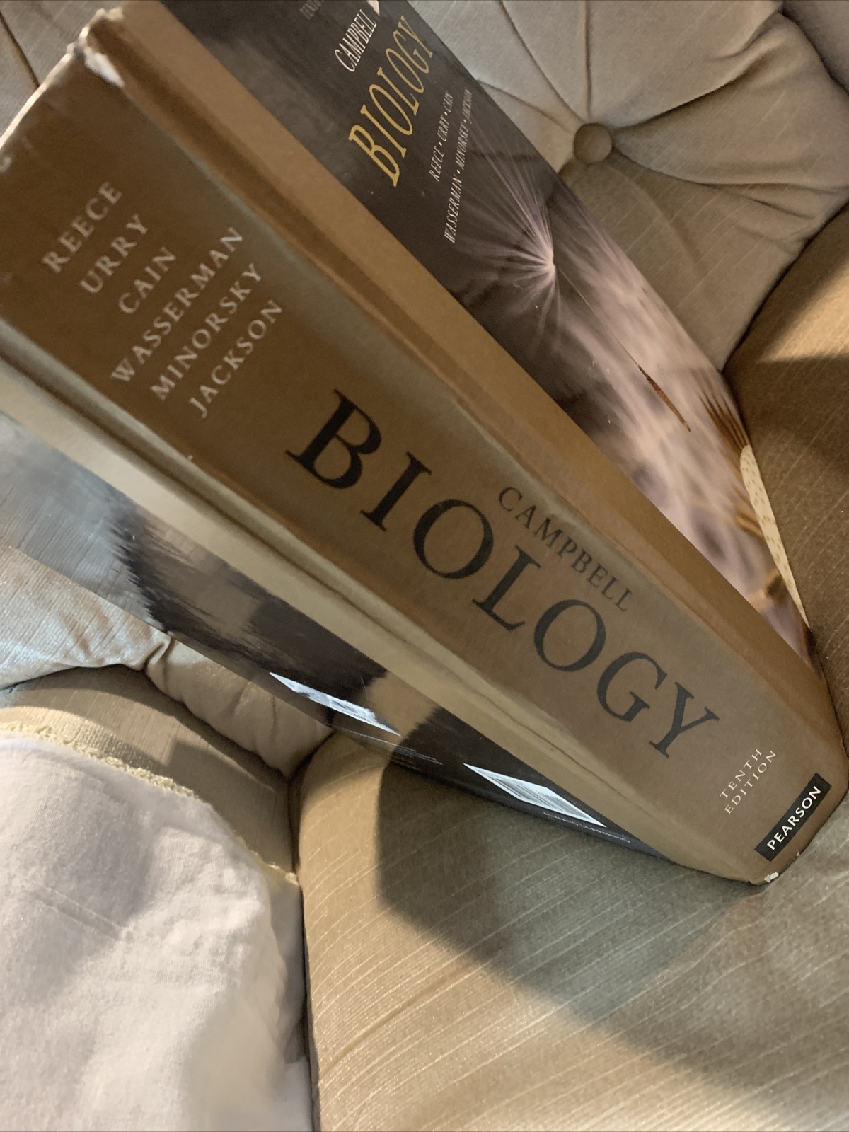 Campbell Biology by Lisa A. Urry, Peter V. Minorsky, Robert B. Jackson, Michael
