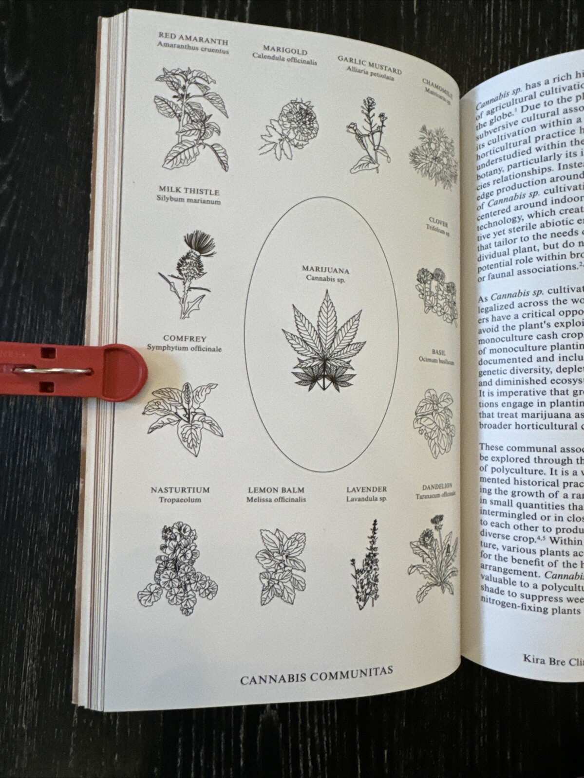 Cannabis CLOG Issue 17 2019 Book, Canada, 8.5”x5.5”, 119 Pages Illustrated PO-LN