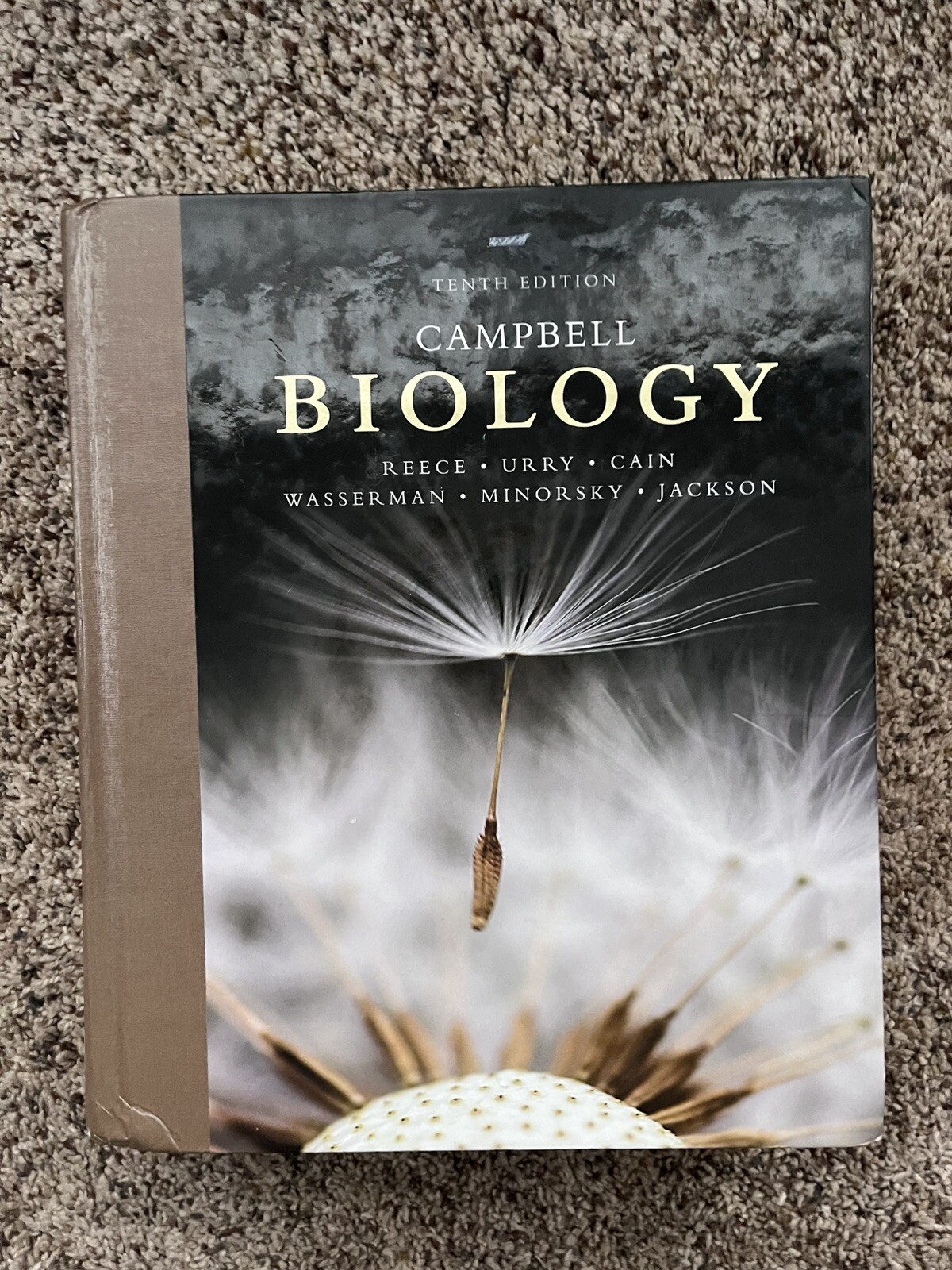 Campbell Biology by Peter V. Minorsky, Robert B. Jackson, Michael L. Cain, Lisa