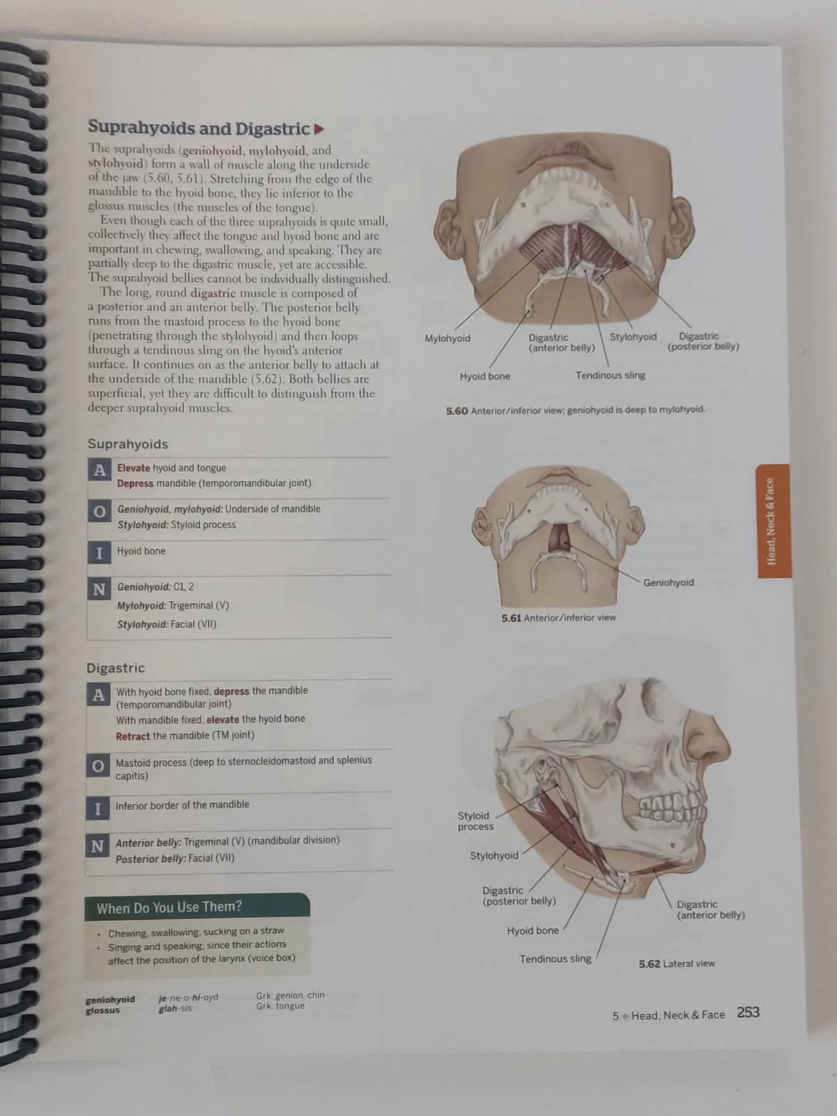 Books Of Discovery Trail Guide To The Body Spiral Bound Textbook White Sixth