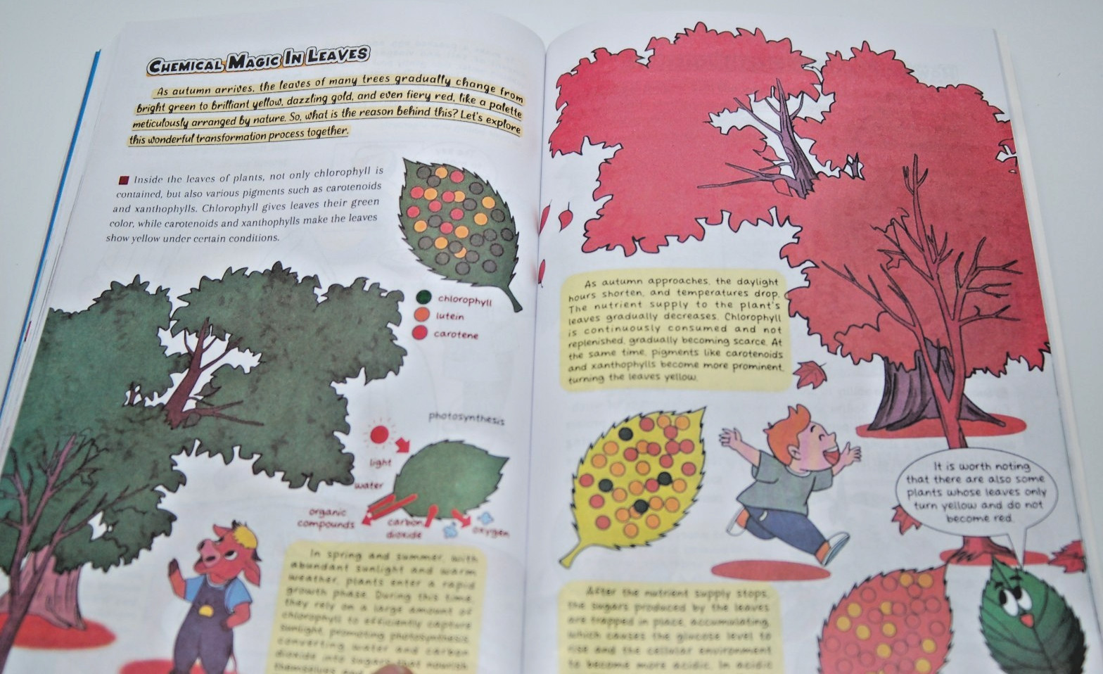 Comic Format Physics & Chemistry – Weird & Wacky Research Institute Doris Walton