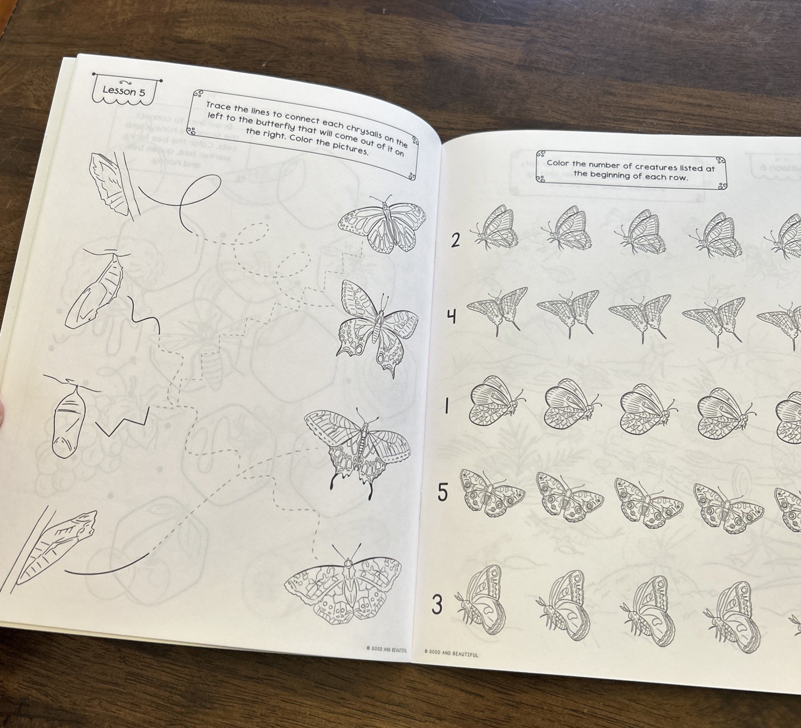 The Good and Beautiful Grades K-2 Science Activity Book Arthropods And Health