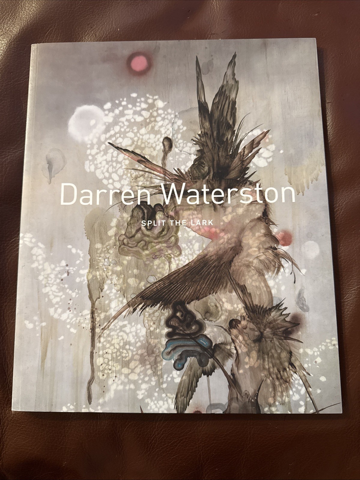 Darren Waterston : Split the Lark by Jacques Khalip 2014, Trade Paperback Book