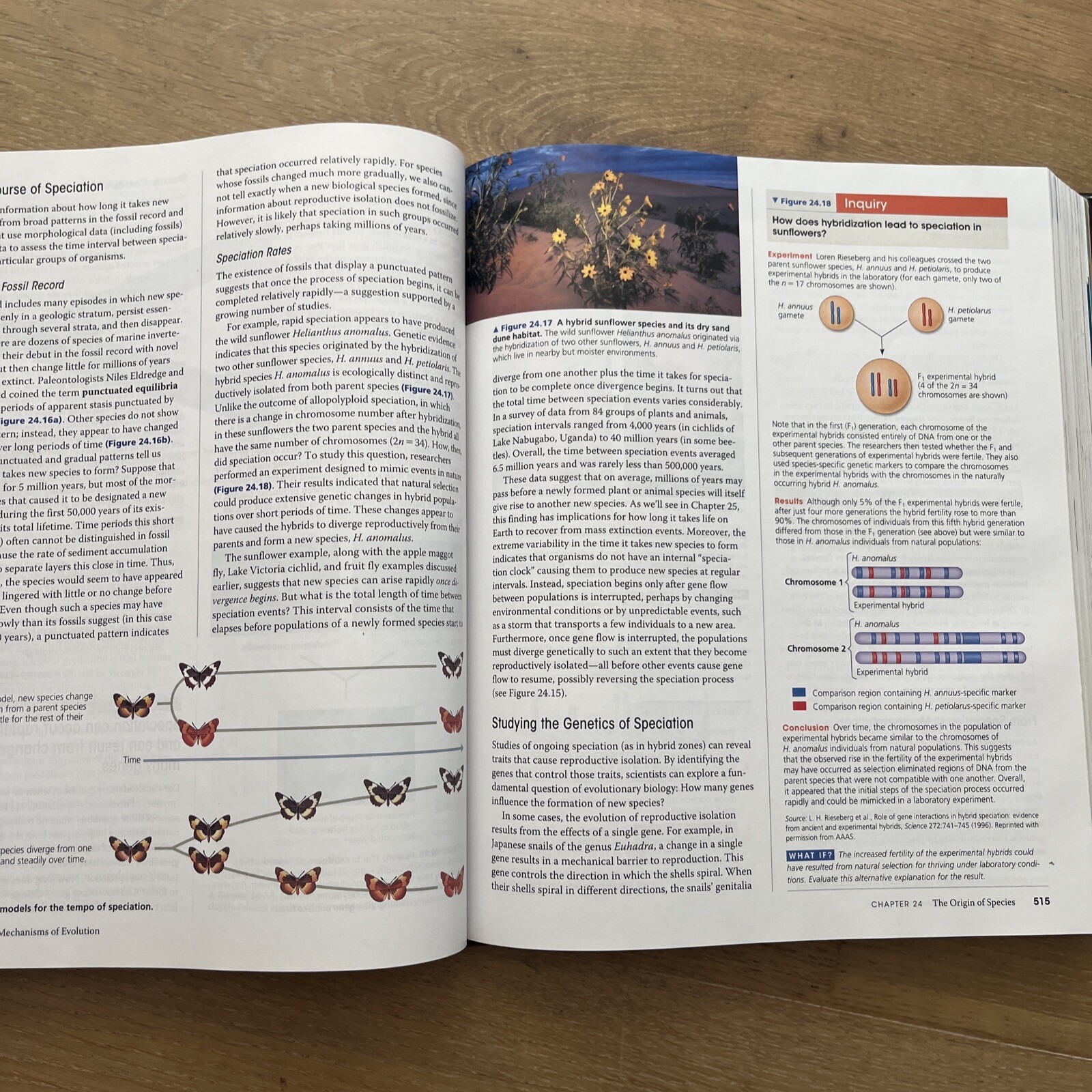 Campbell Biology by Peter V. Minorsky, Robert B. Jackson, Michael L. Cain, Lisa