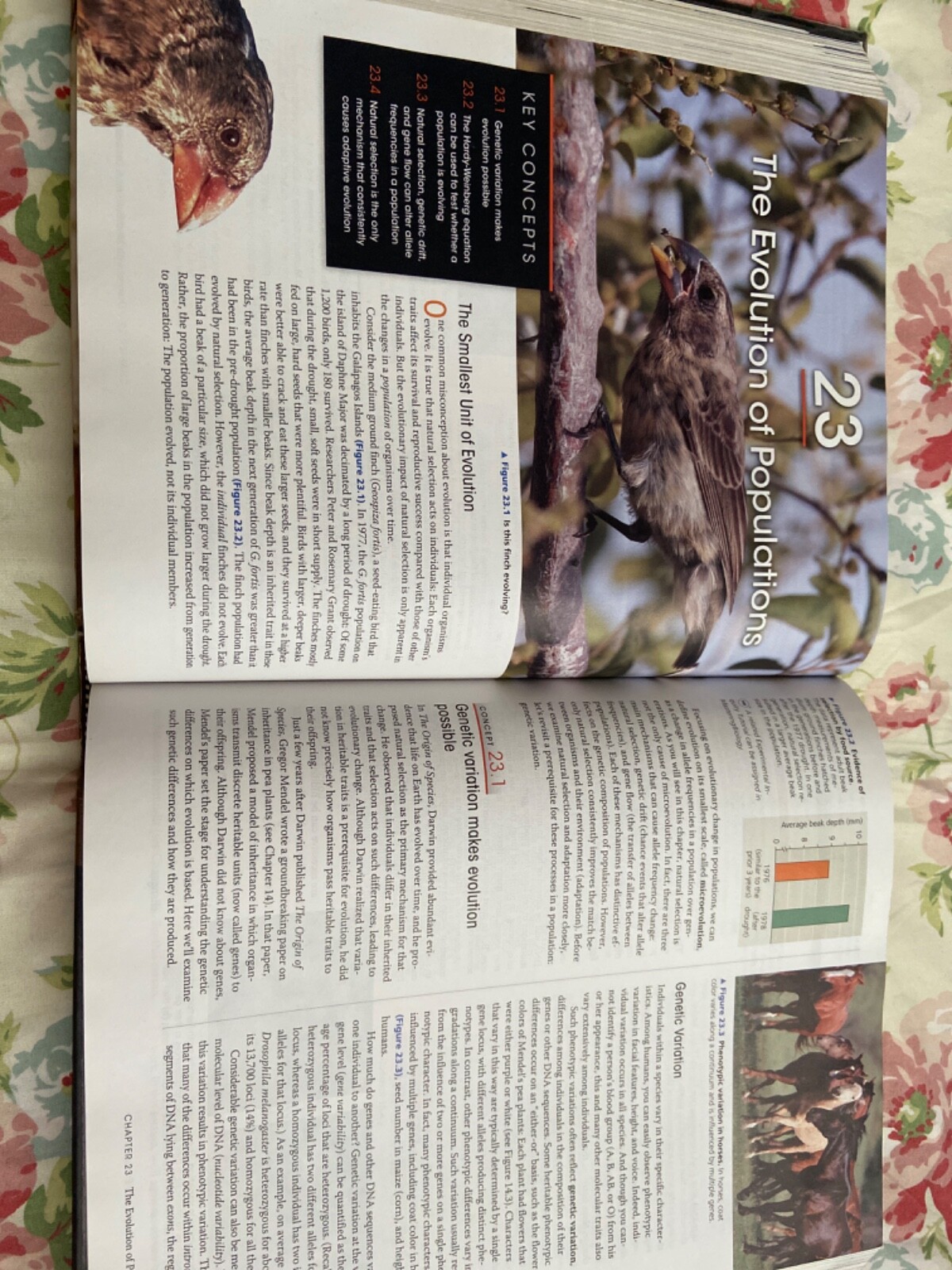 Campbell Biology by Lisa A. Urry, Peter V. Minorsky, Robert B. Jackson, Michael