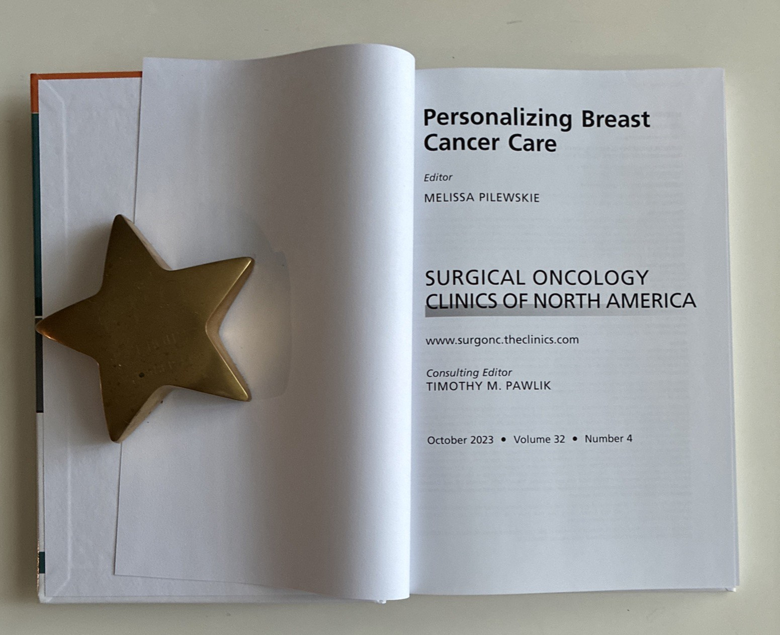 Personalizing Breast Cancer Care Surgical Oncology Clinics 32/4 2023 Hardcover