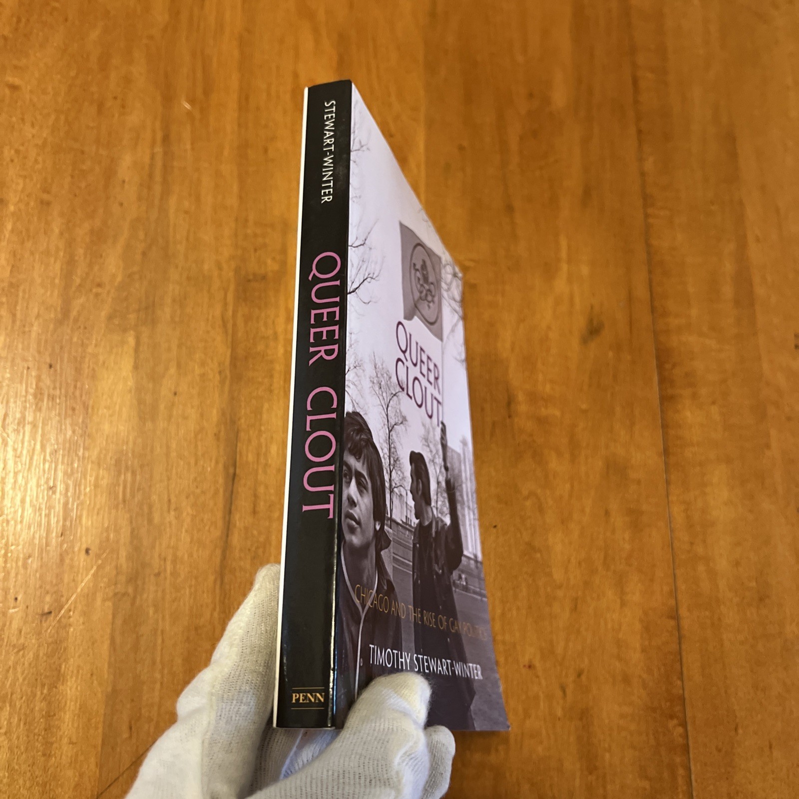 Politics and Culture in Modern America Ser.: Queer Clout : Chicago and the Rise
