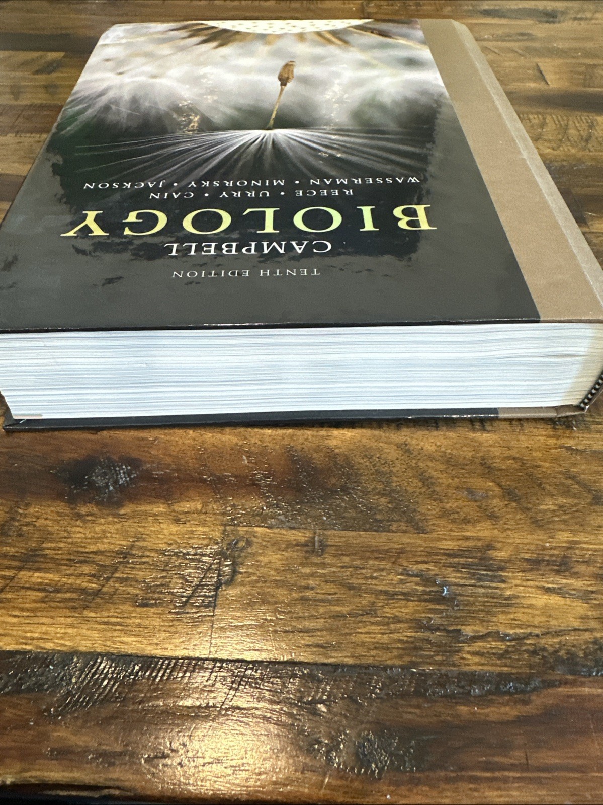 Campbell Biology by Peter V. Minorsky, Robert B. Jackson, Michael L. Cain Book