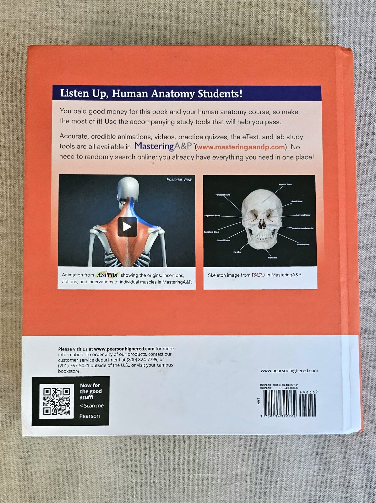 Human Anatomy Robert Tallitsch, Judi Nath & Frederic H. Martini