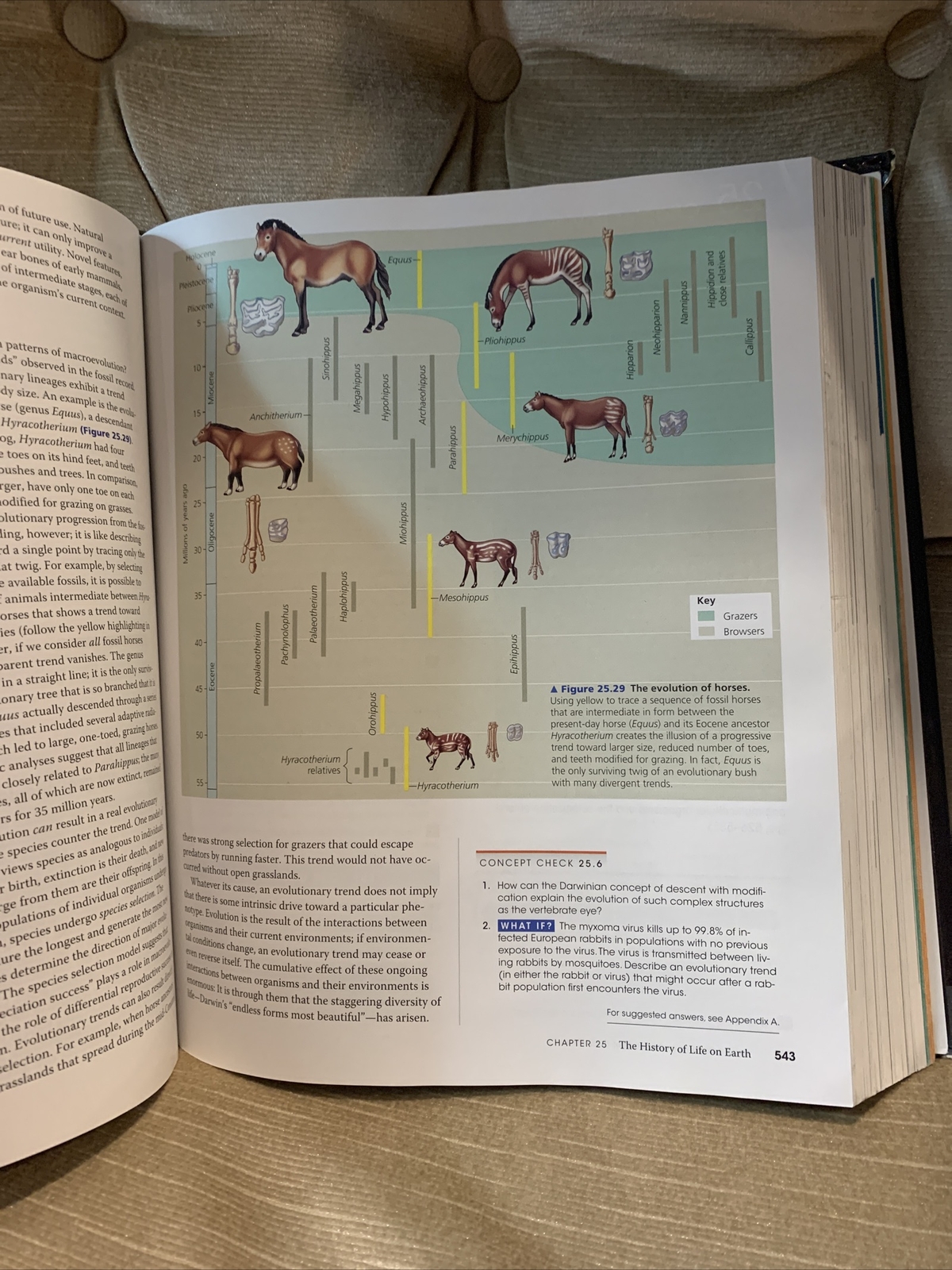 Campbell Biology by Lisa A. Urry, Peter V. Minorsky, Robert B. Jackson, Michael