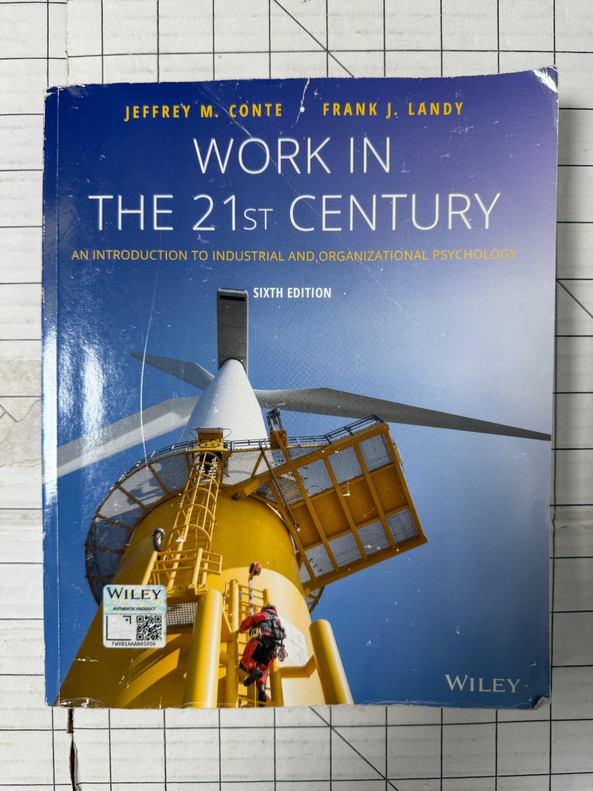 Work in the 21st Century 6th Edition by Jeffrey M. Conte and Frank J. Landy TPB