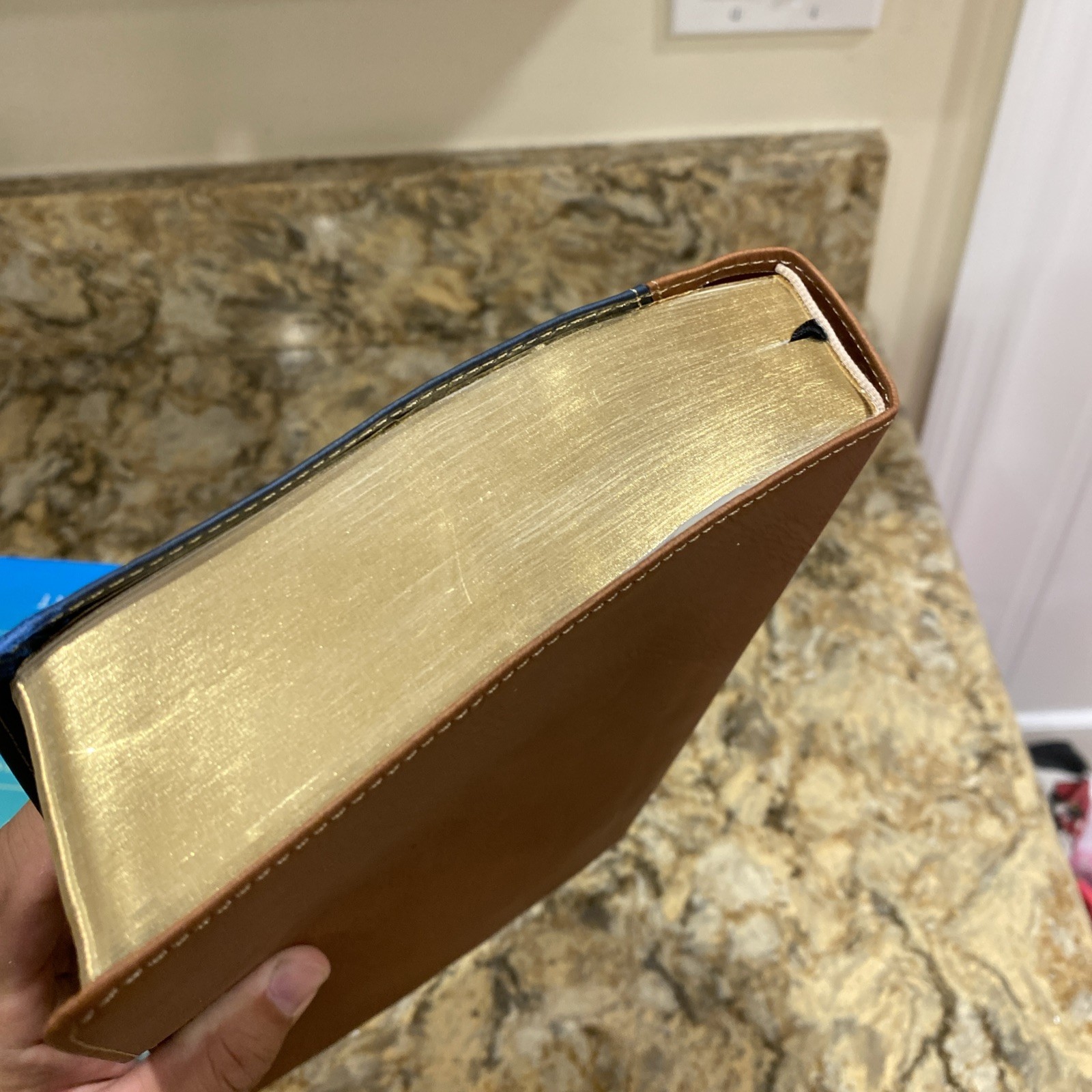 The New American Bible Large Print Edition Oxford University Press 12 Point Type