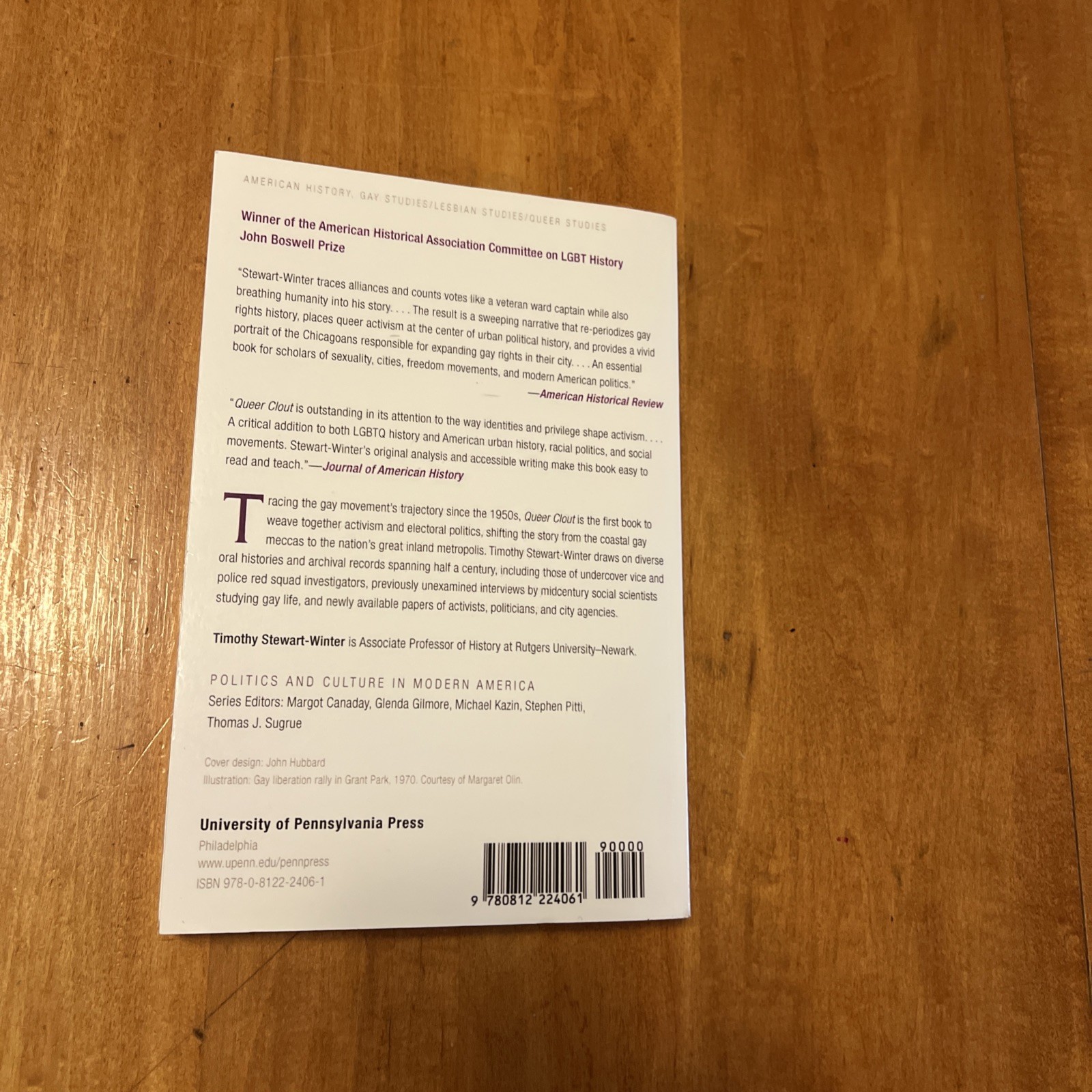 Politics and Culture in Modern America Ser.: Queer Clout : Chicago and the Rise