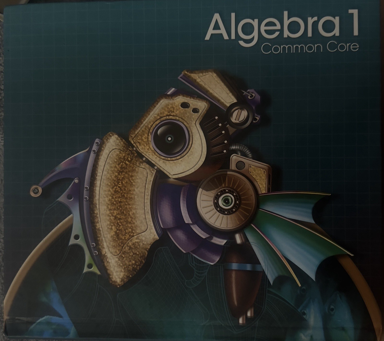 Pearson enVision Algebra 1 Common Core Textbook Book 2012 MPN 0133281140