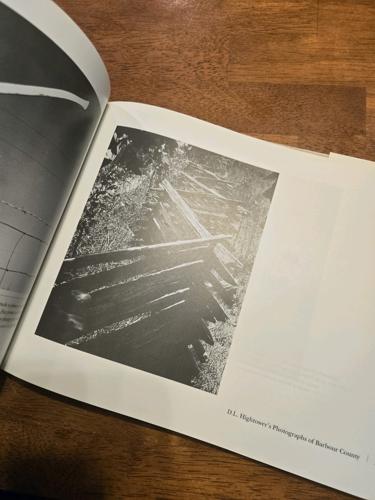 To Remember A Vanishing Word D L Hightower Thomason 1930-1965 Hardcover Book