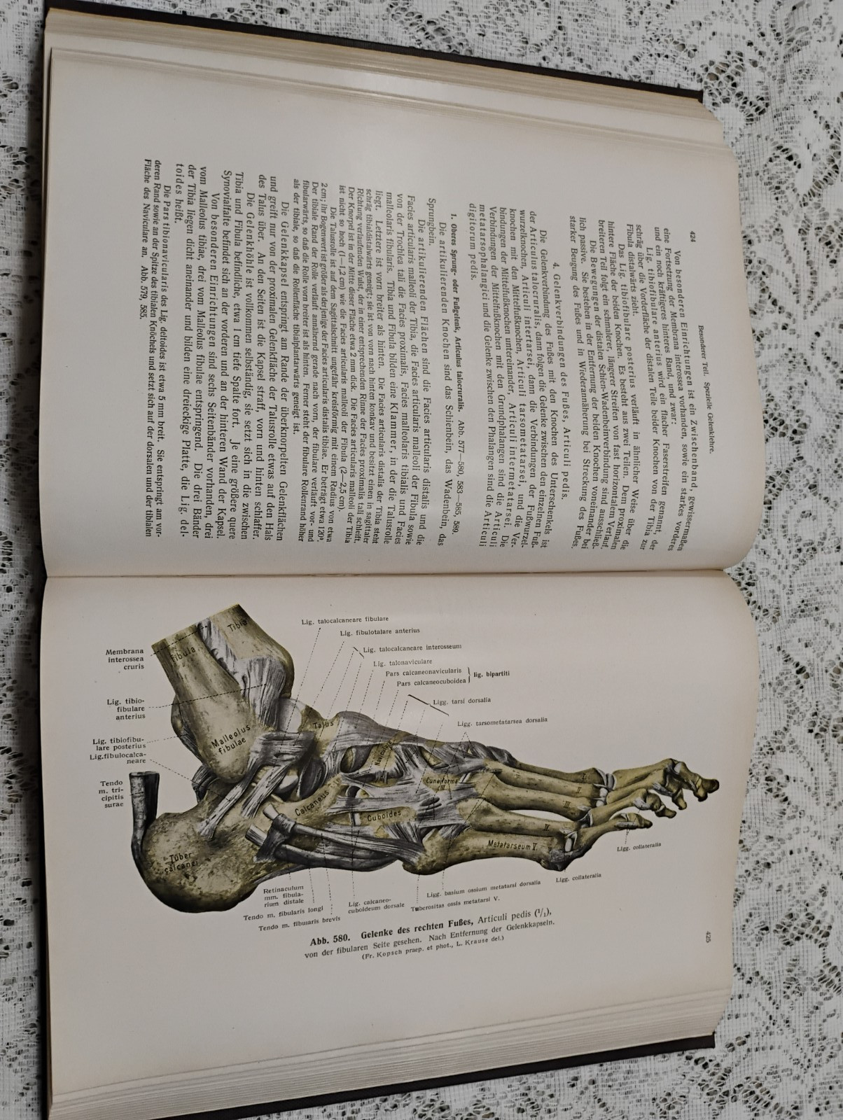 Atlas Of Human Anatomy 1952 Vol 1 In German Skeletal, Muscular General systems