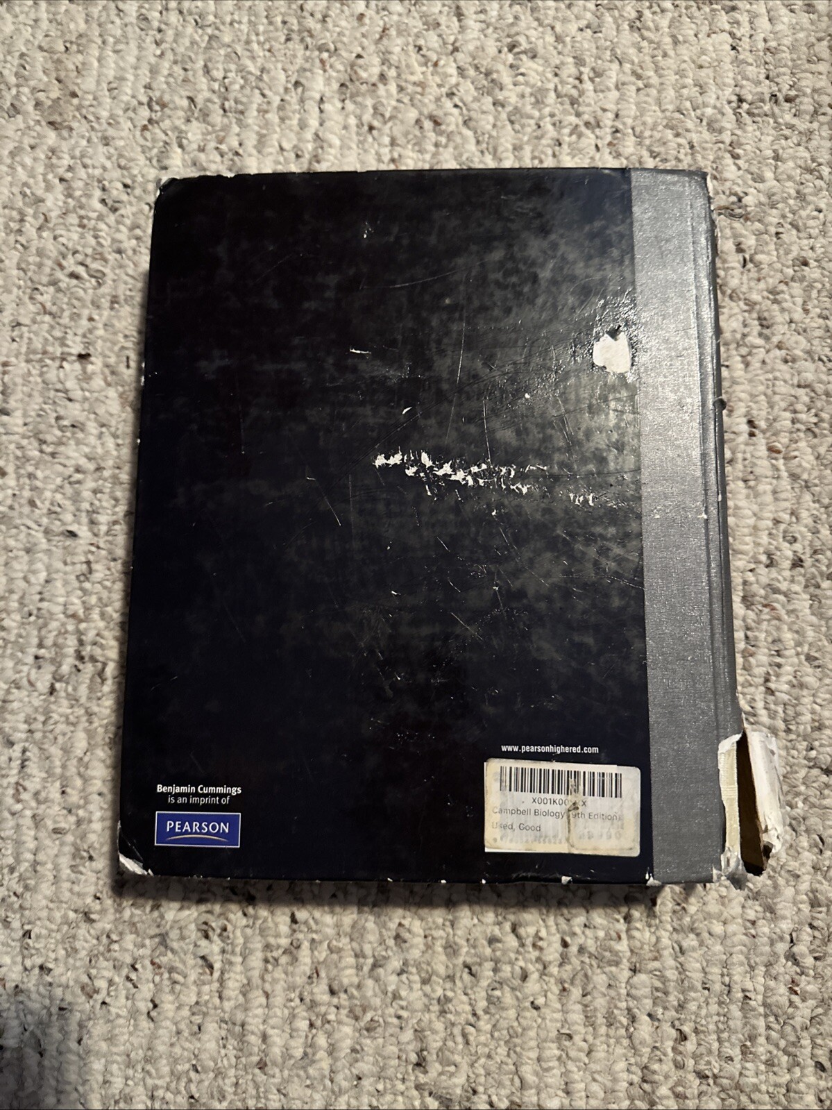 Campbell Biology by Peter V. Minorsky, Robert B. Jackson, Michael L. Cain, Lisa