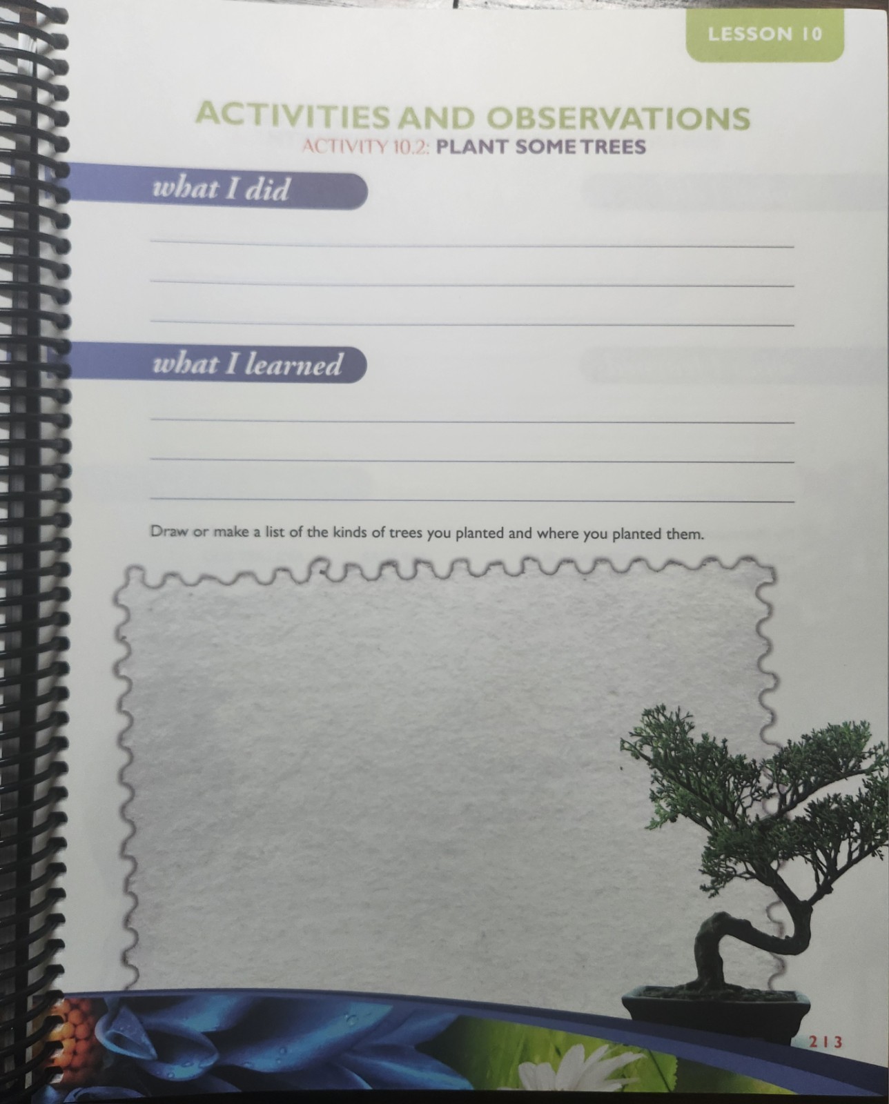 Exploring Creation with Botany Notebooking Journal 2009 Spiral 2nd Edition