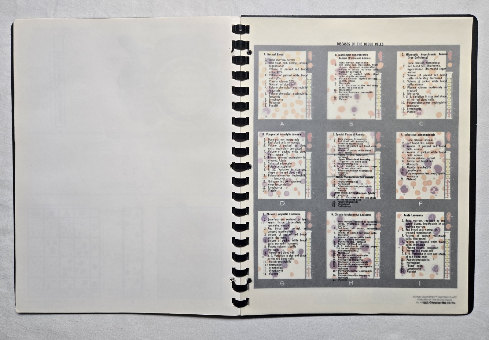 Schick Notebook Charts Human Anatomy Softcover Spiral Bound Book (1987)