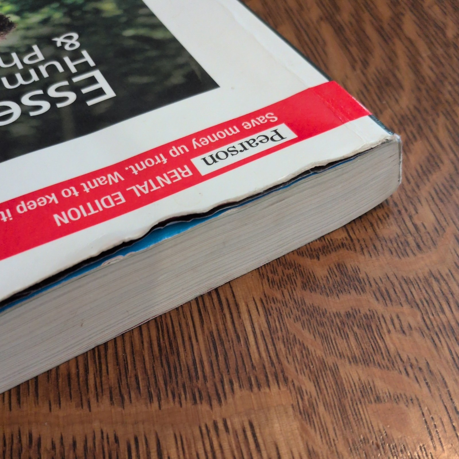 Essentials of Human Anatomy and – Paperback, by Suzanne Keller Acceptable 13 ed