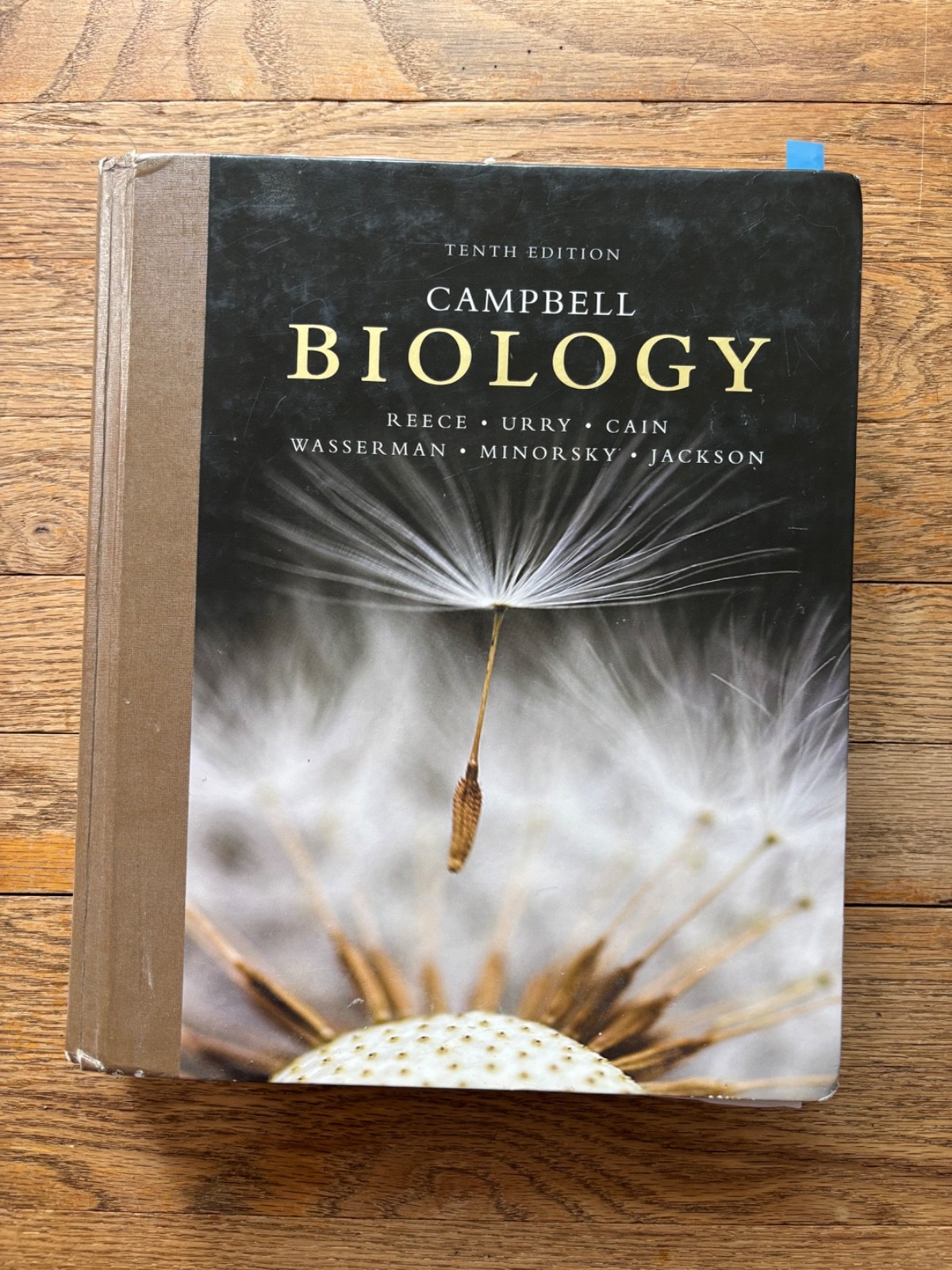 Campbell Biology by Peter V. Minorsky, Robert B. Jackson, Michael L. Cain, Lisa