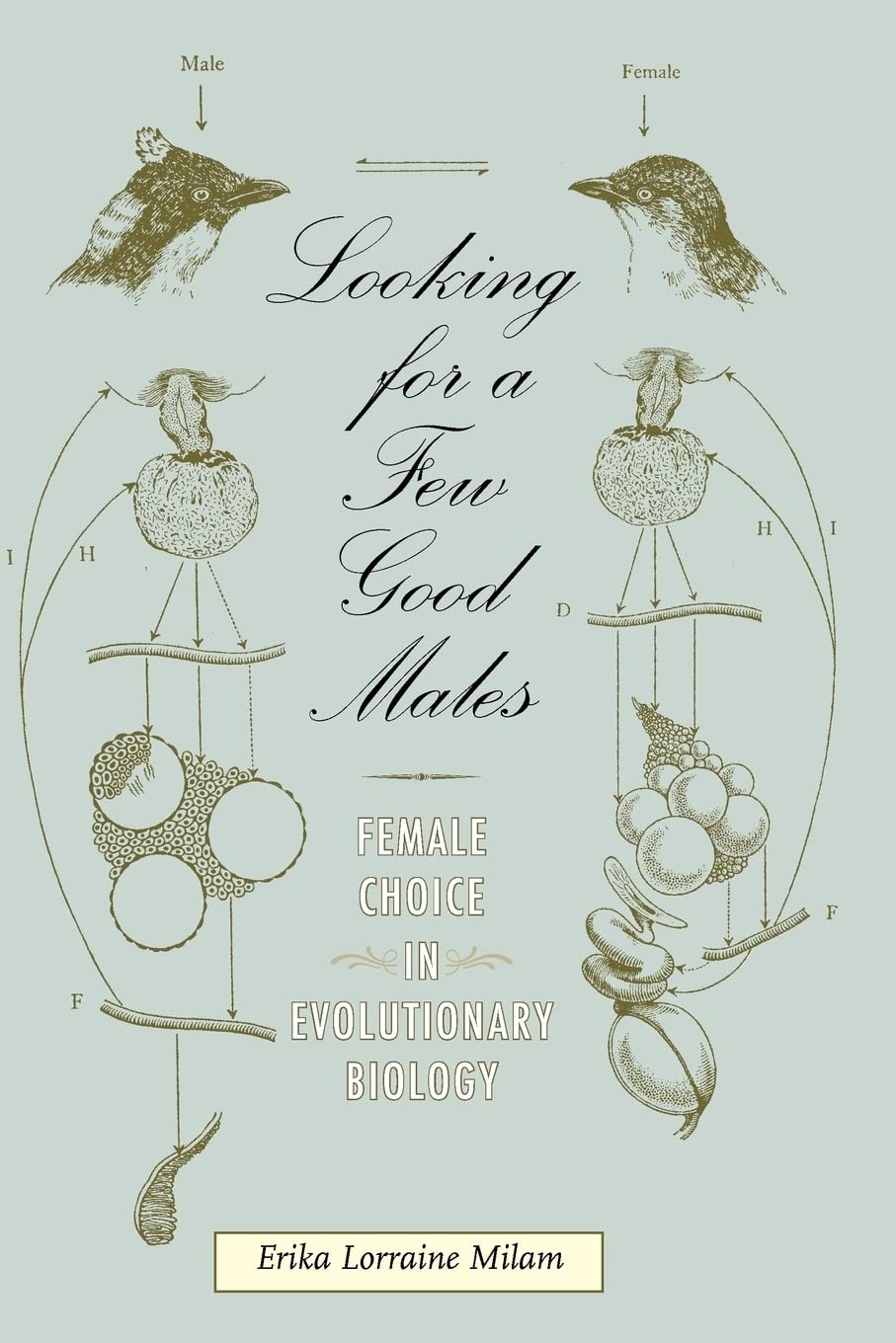 Looking for a Few Good Males: Female Choice in Evolutionary Biol