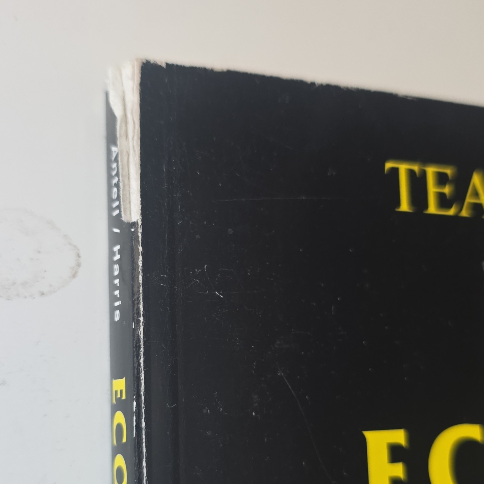 AMSCO Economics: Institutions and Analysis 4th Ed Teacher’s Manual Answers 1991