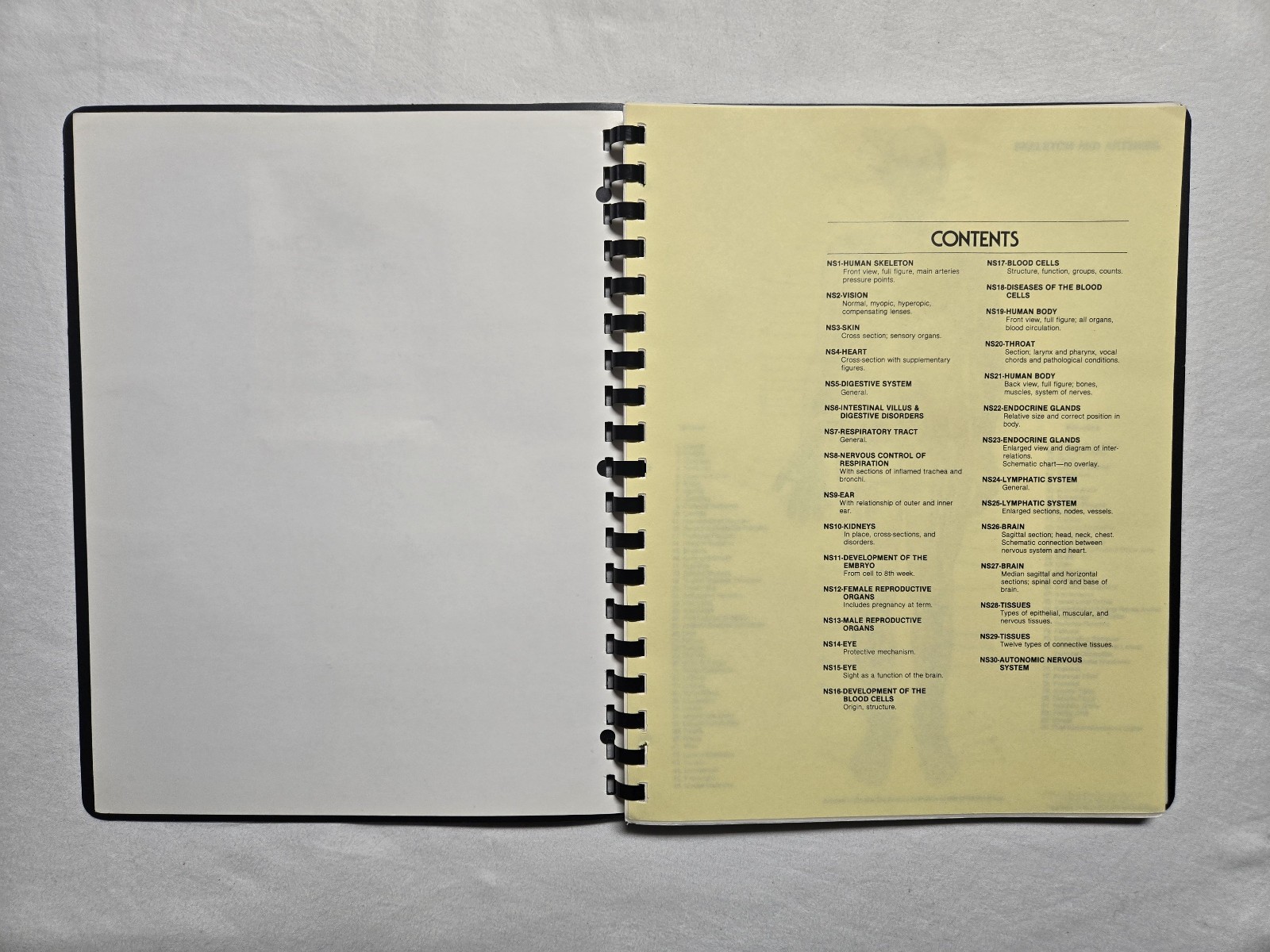 Schick Notebook Charts Human Anatomy Softcover Spiral Bound Book (1987)